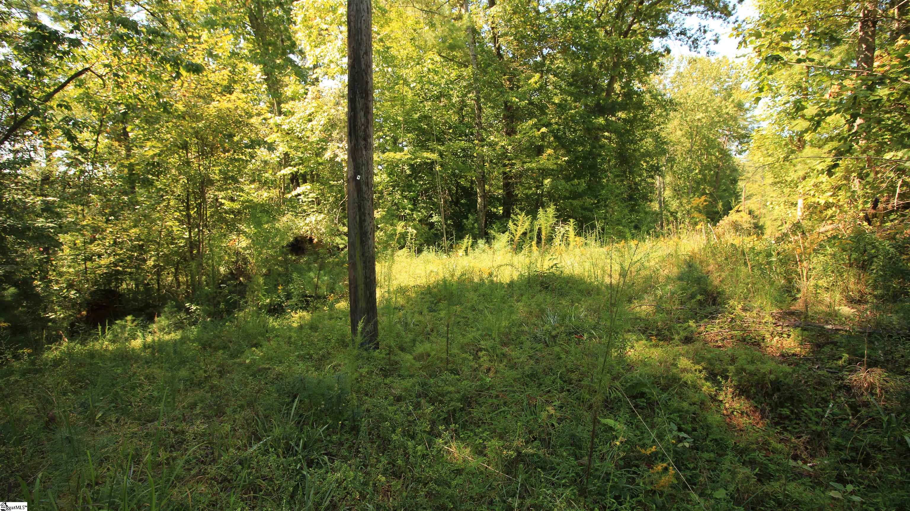 Lot 27 Cleo Chapman Highway Sunset, SC 29685