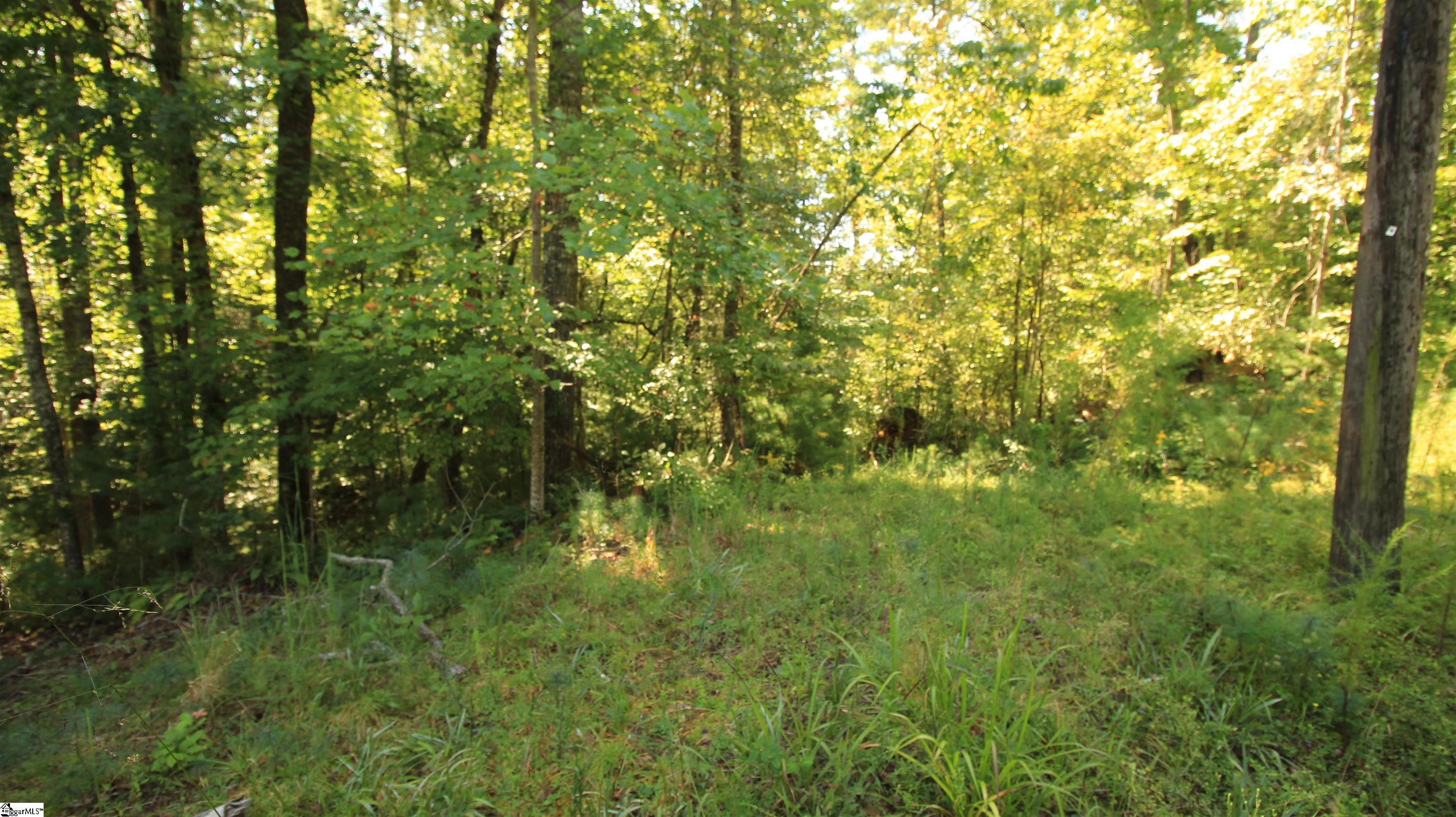 Lot 27 Cleo Chapman Highway Sunset, SC 29685