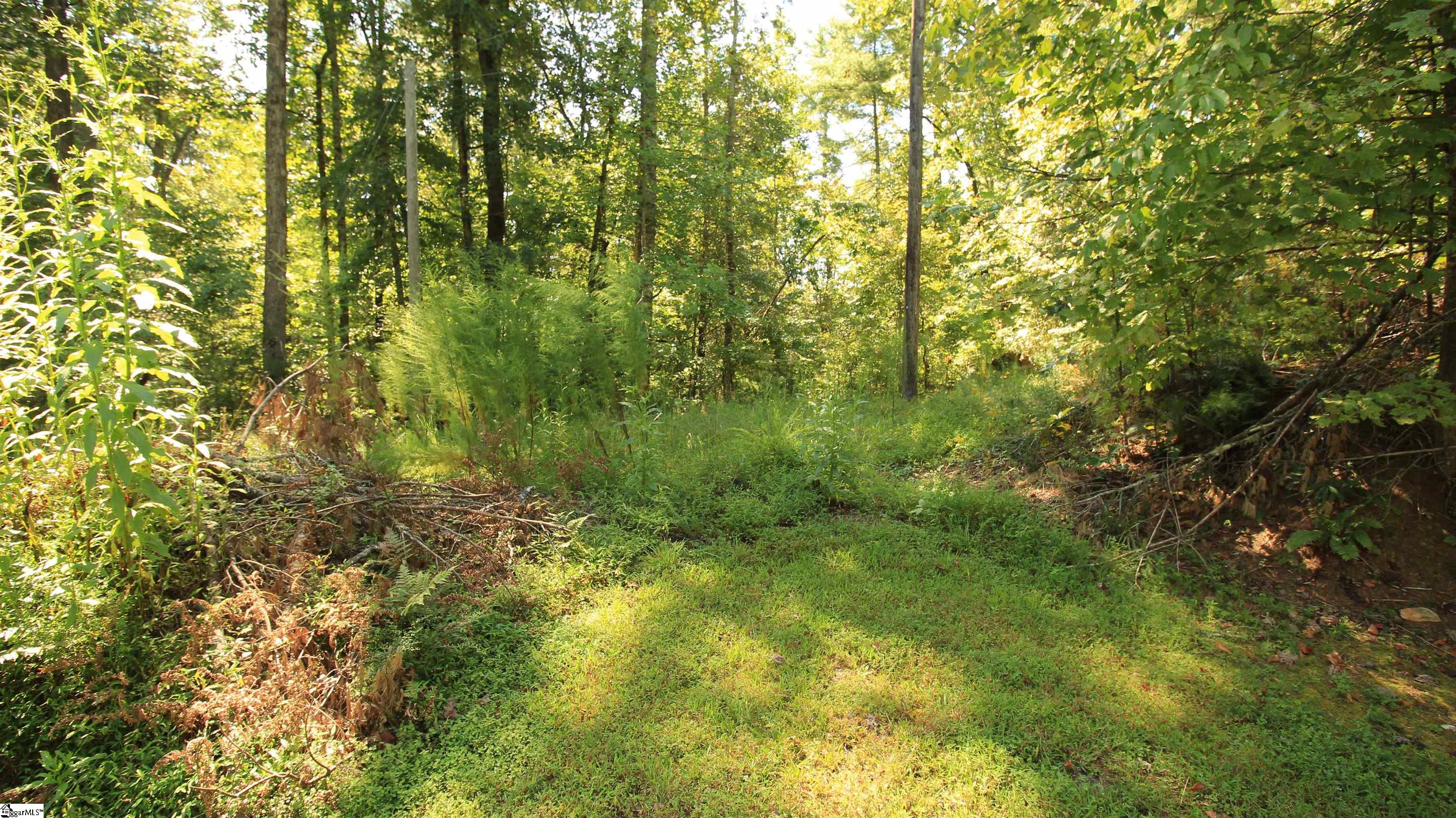 Lot 27 Cleo Chapman Highway Sunset, SC 29685
