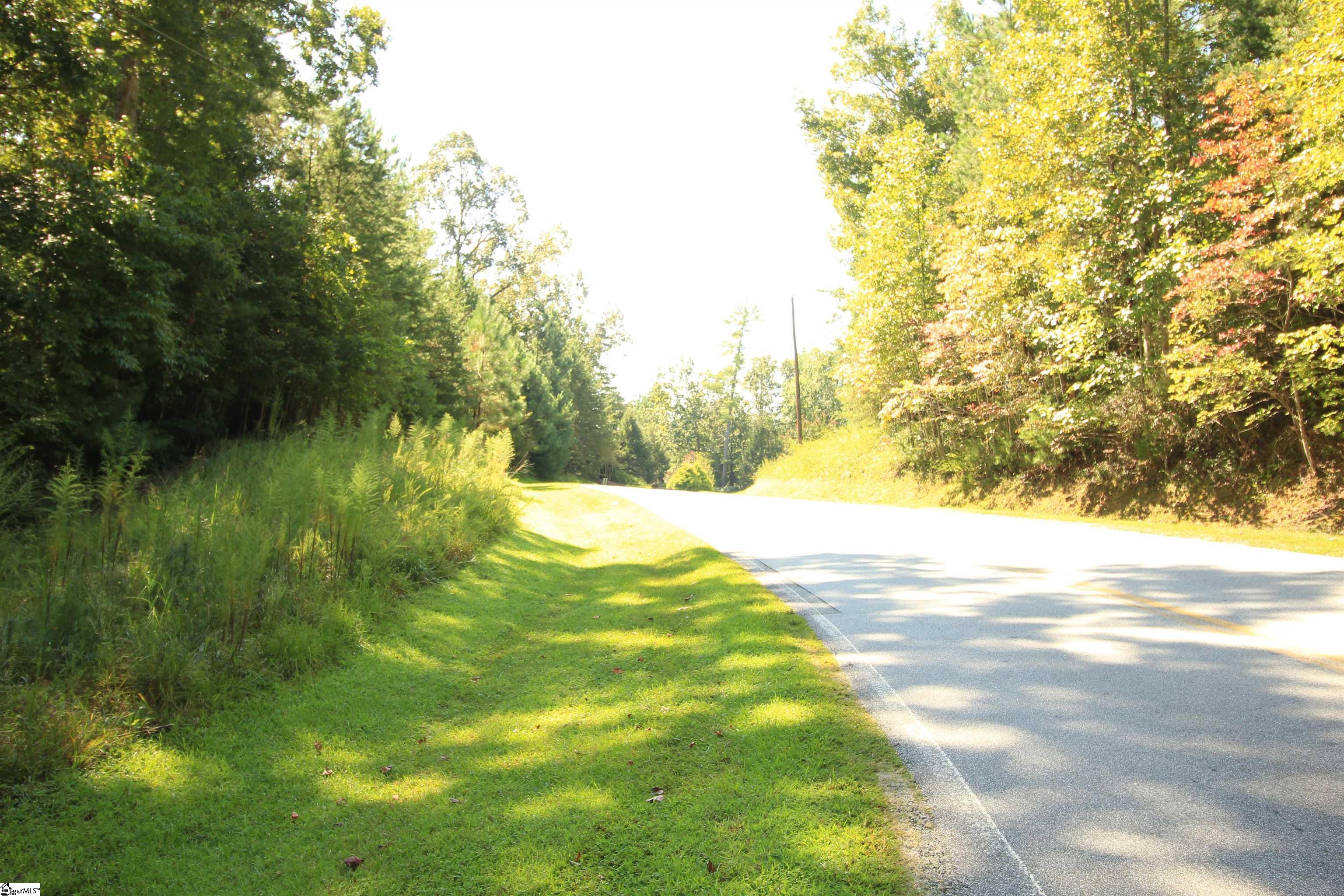 Lot 27 Cleo Chapman Highway Sunset, SC 29685