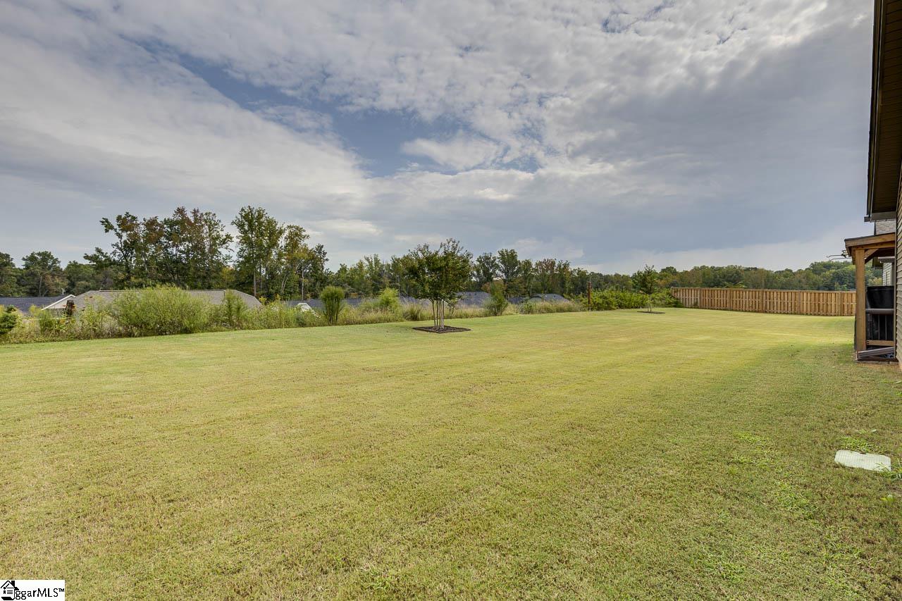248 Abelia Meadows Drive Piedmont, SC 29673