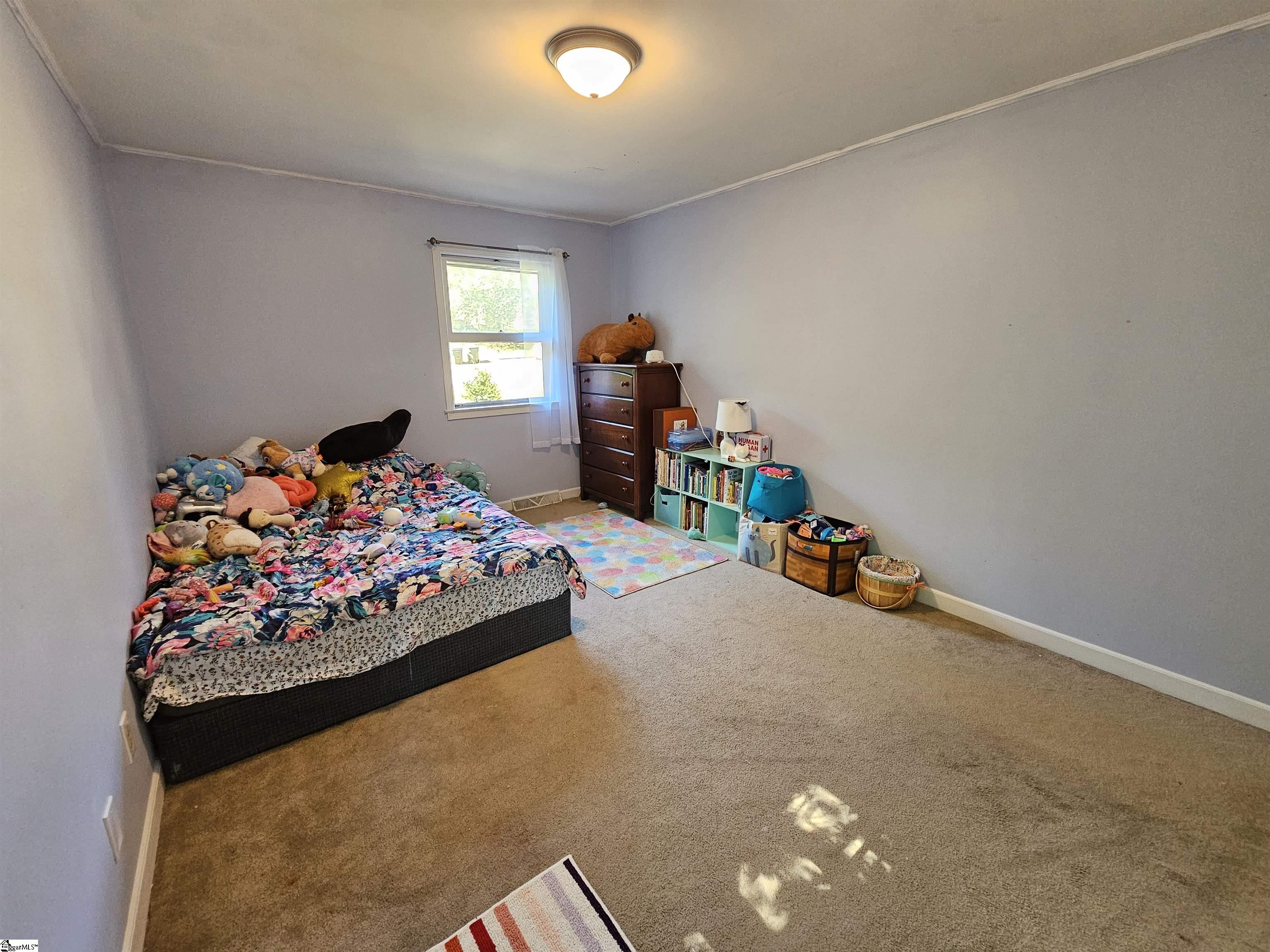 5 Nova Street Taylors, SC 29687-3018