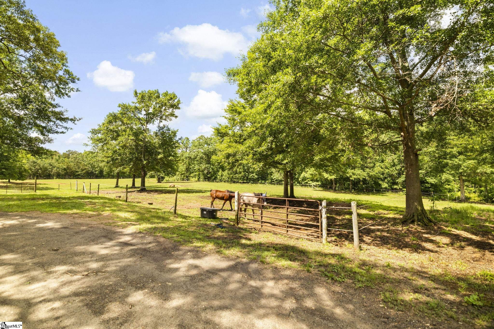 155 Reining Way Fountain Inn, SC 29644