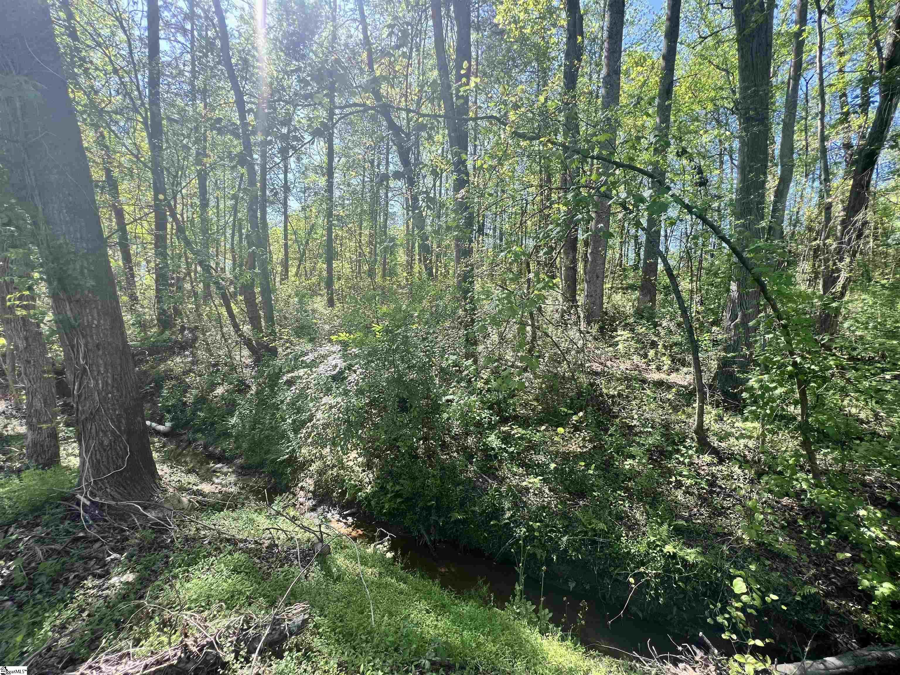 Hampton Boulevard Gaffney, SC 29341