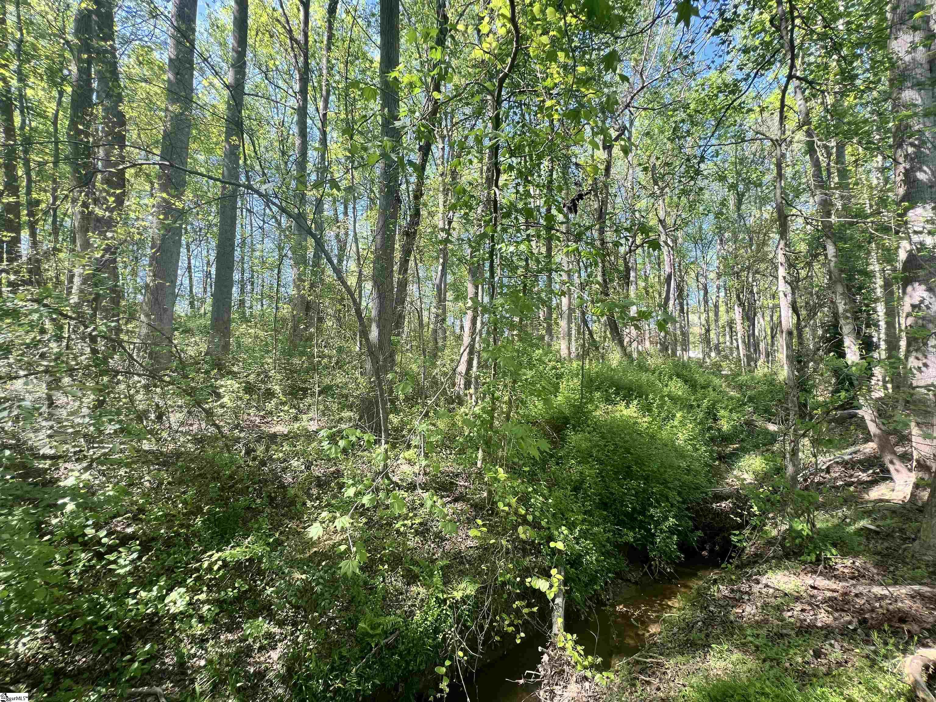 Hampton Boulevard Gaffney, SC 29341