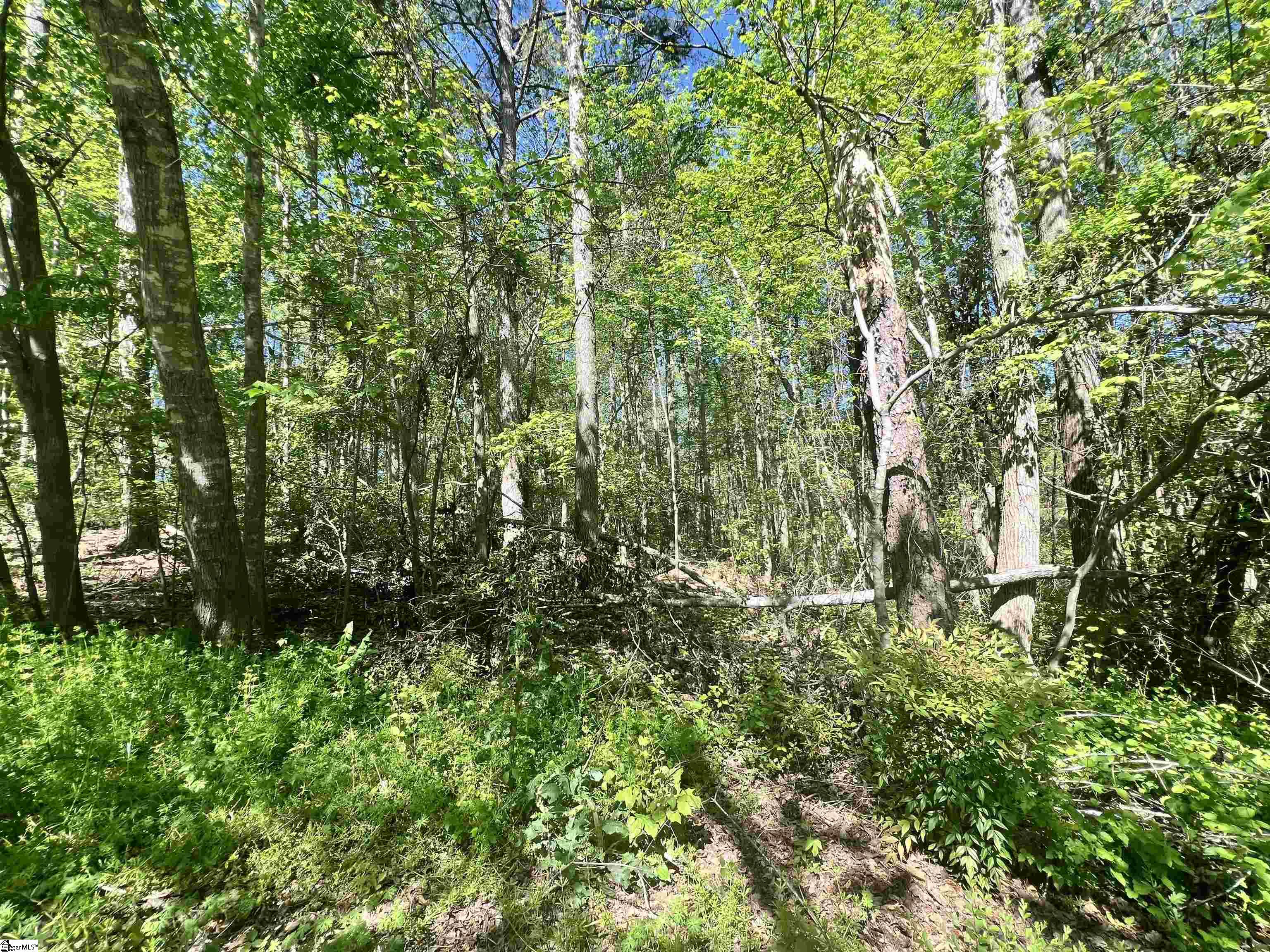 Hampton Boulevard Gaffney, SC 29341