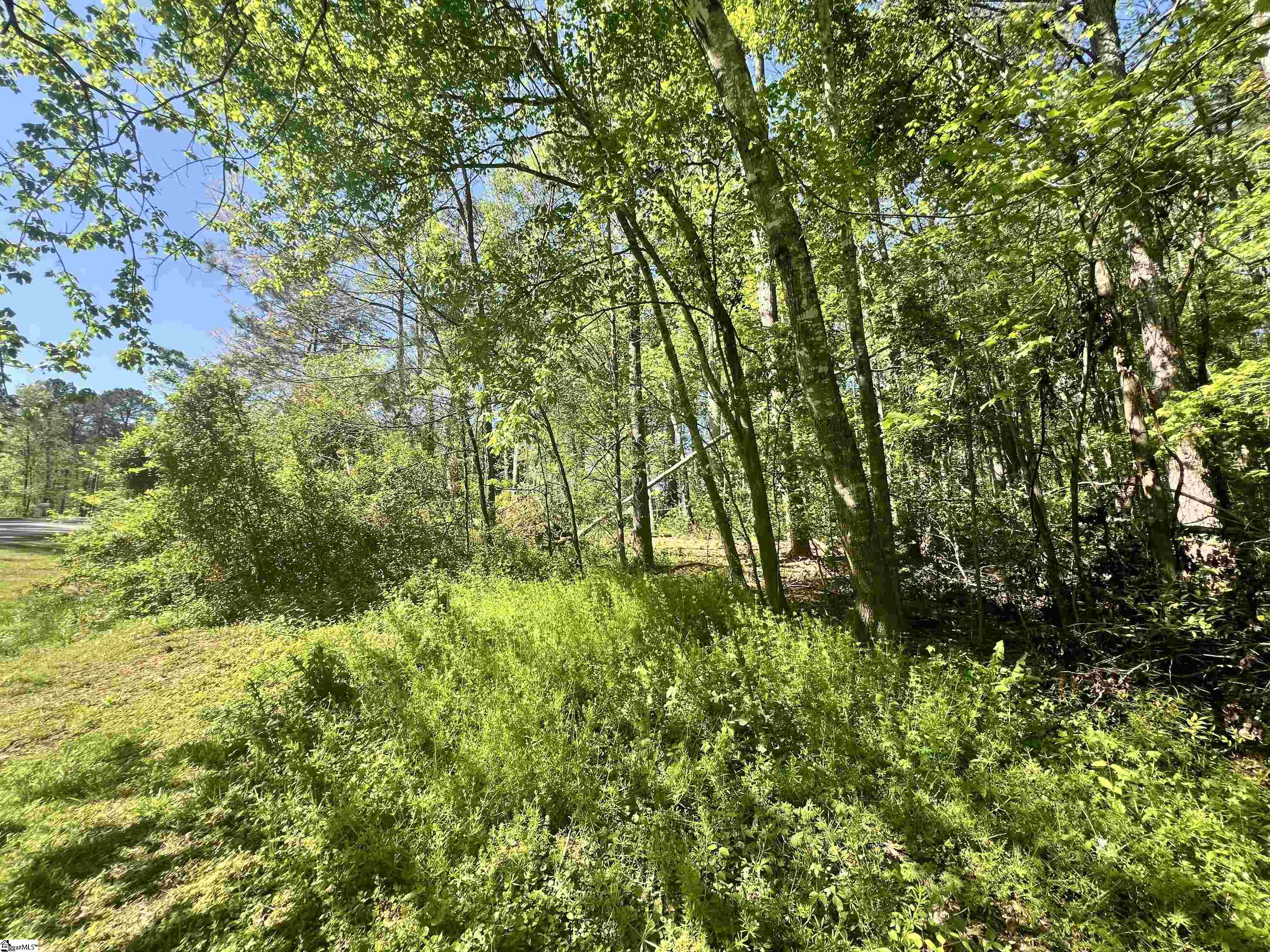 Hampton Boulevard Gaffney, SC 29341