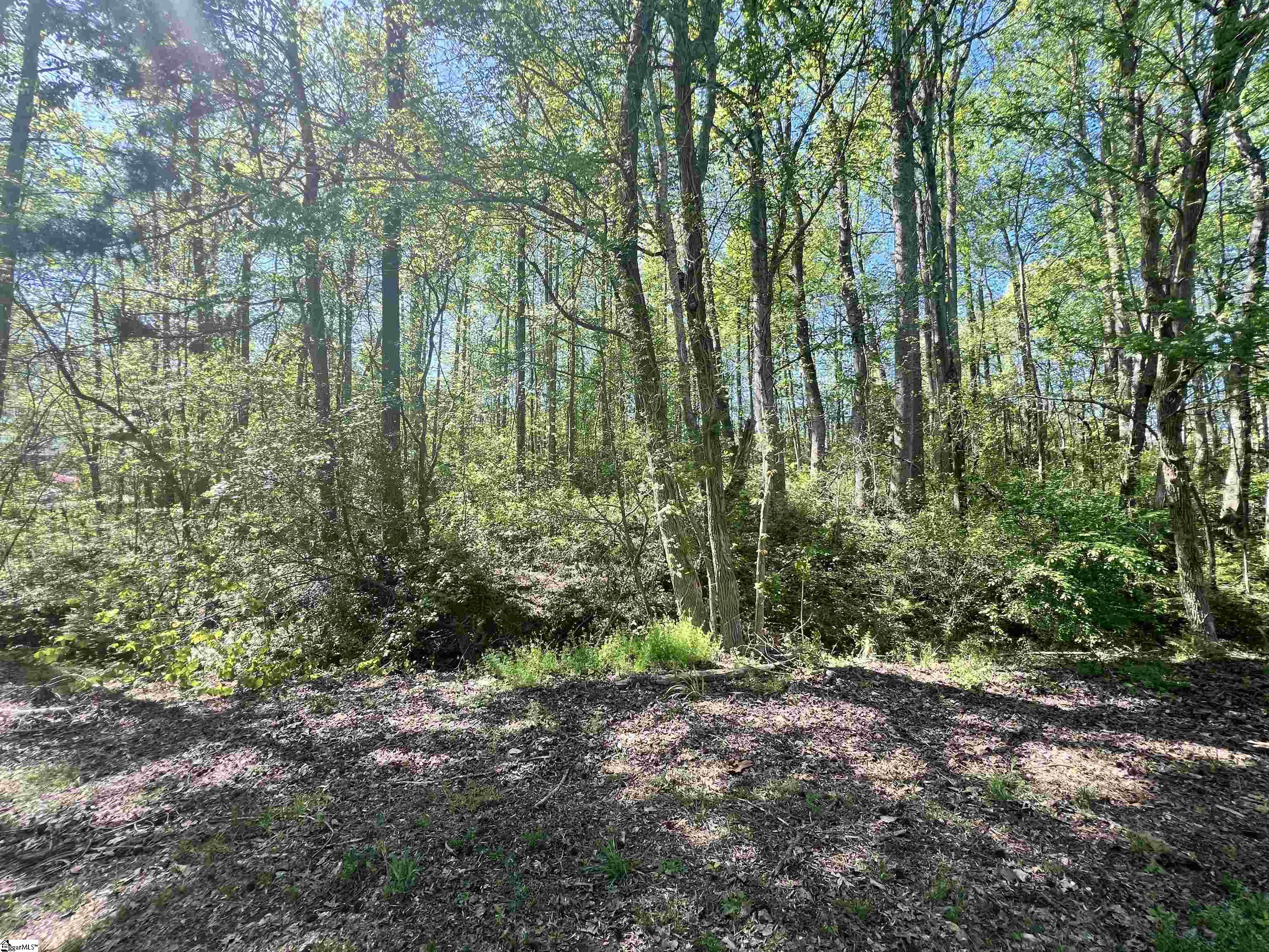 Hampton Boulevard Gaffney, SC 29341