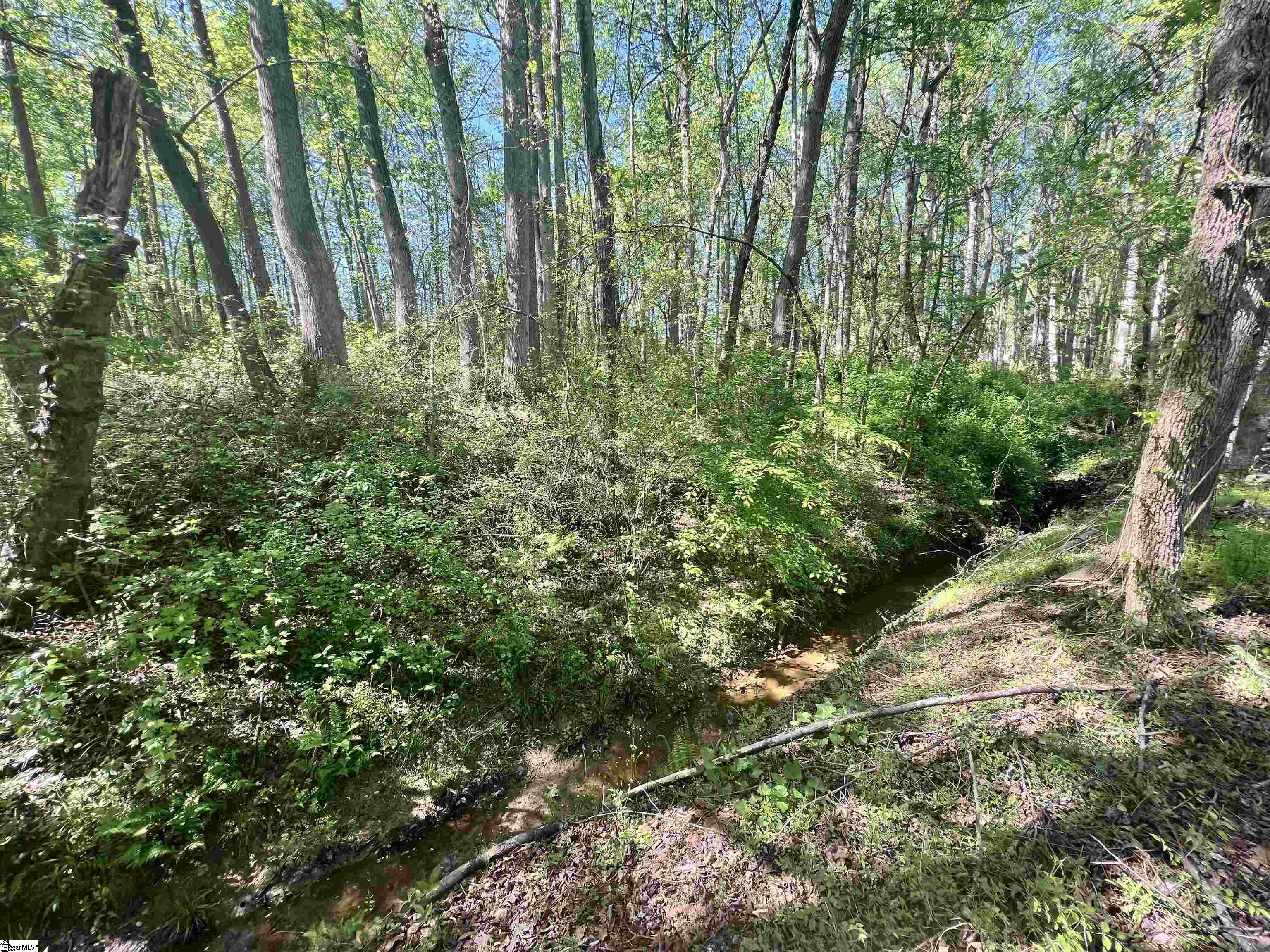 Hampton Boulevard Gaffney, SC 29341