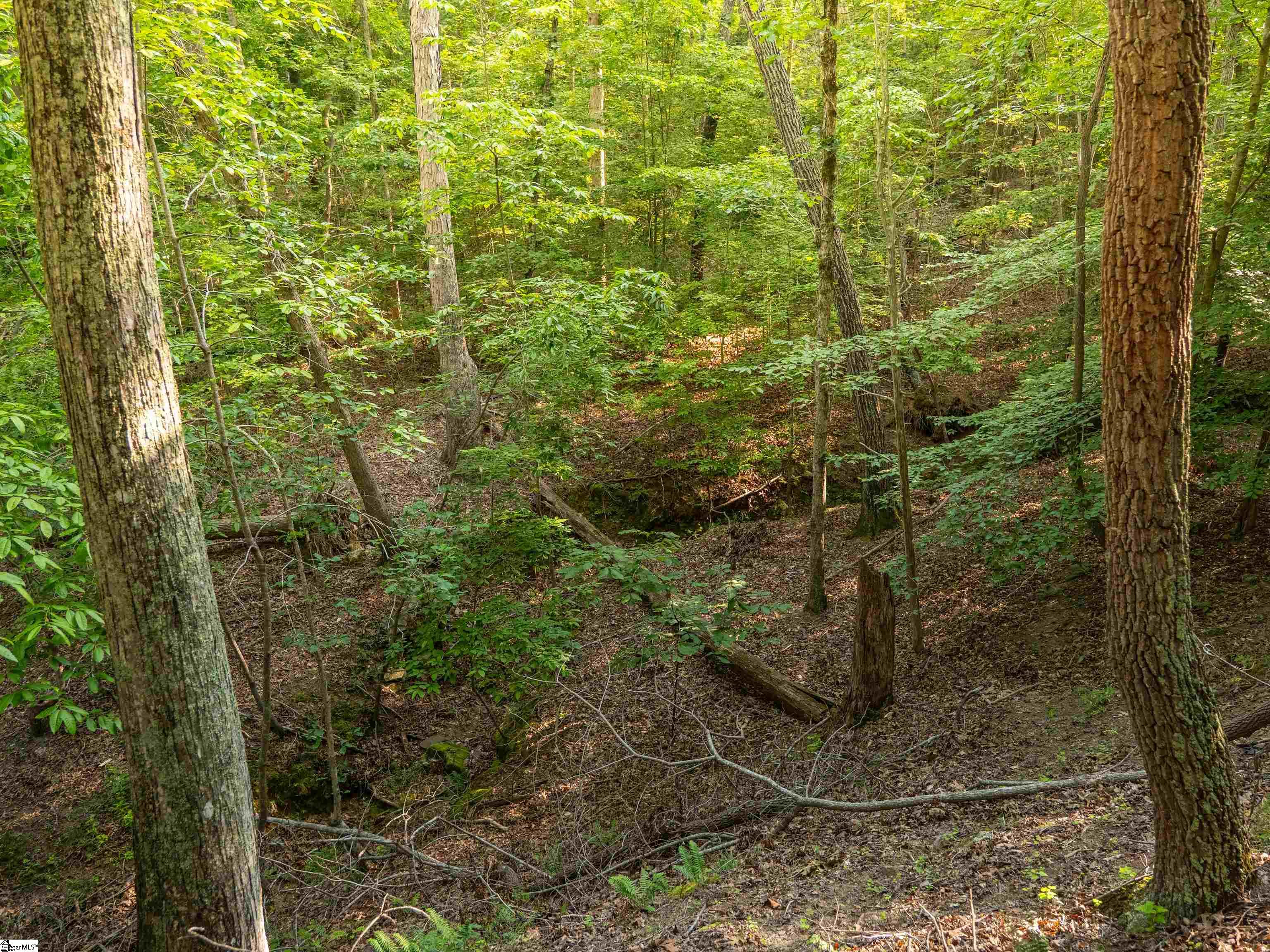 01 Goldmine Road Pacolet, SC 29372