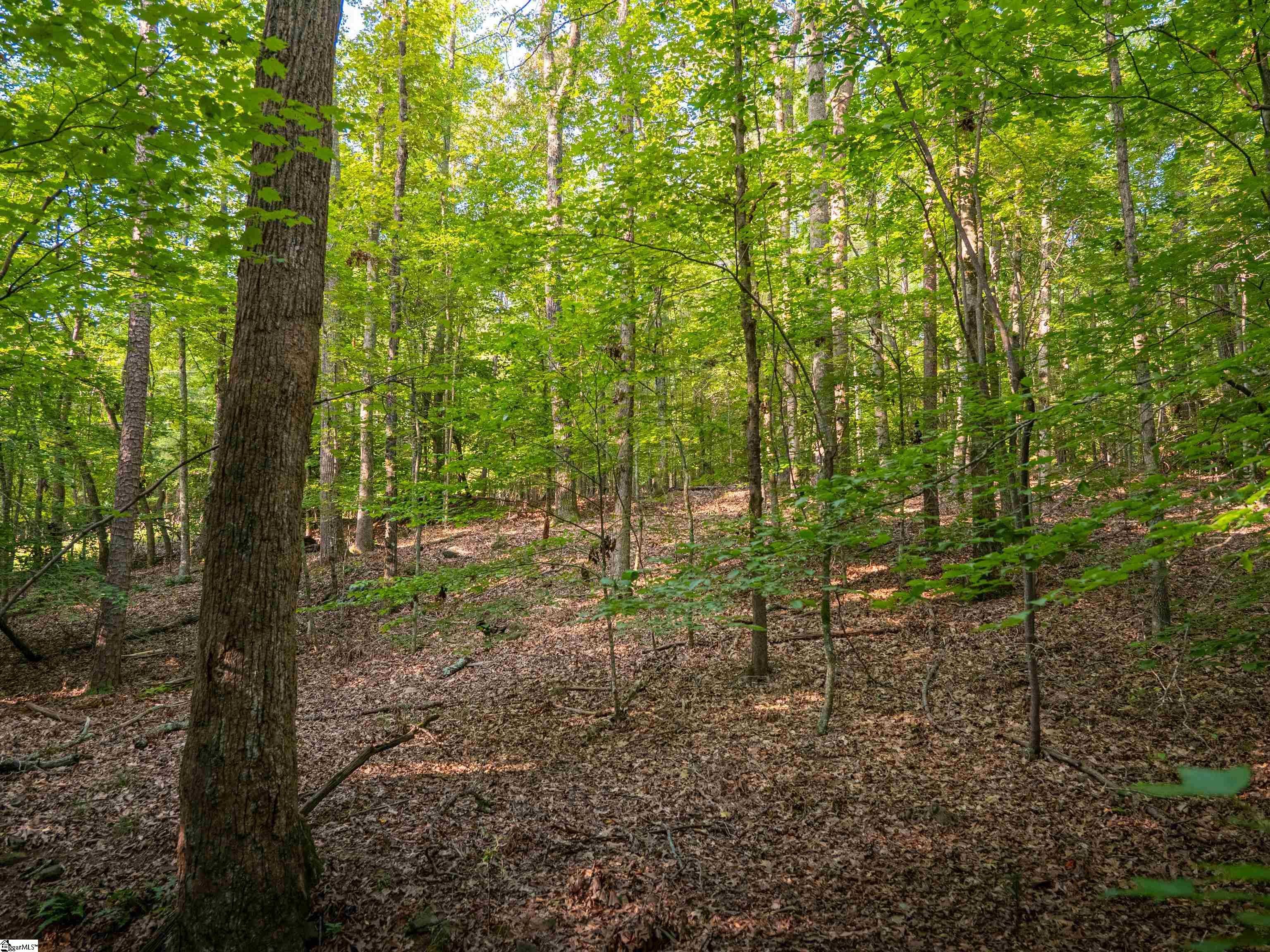 01 Goldmine Road Pacolet, SC 29372