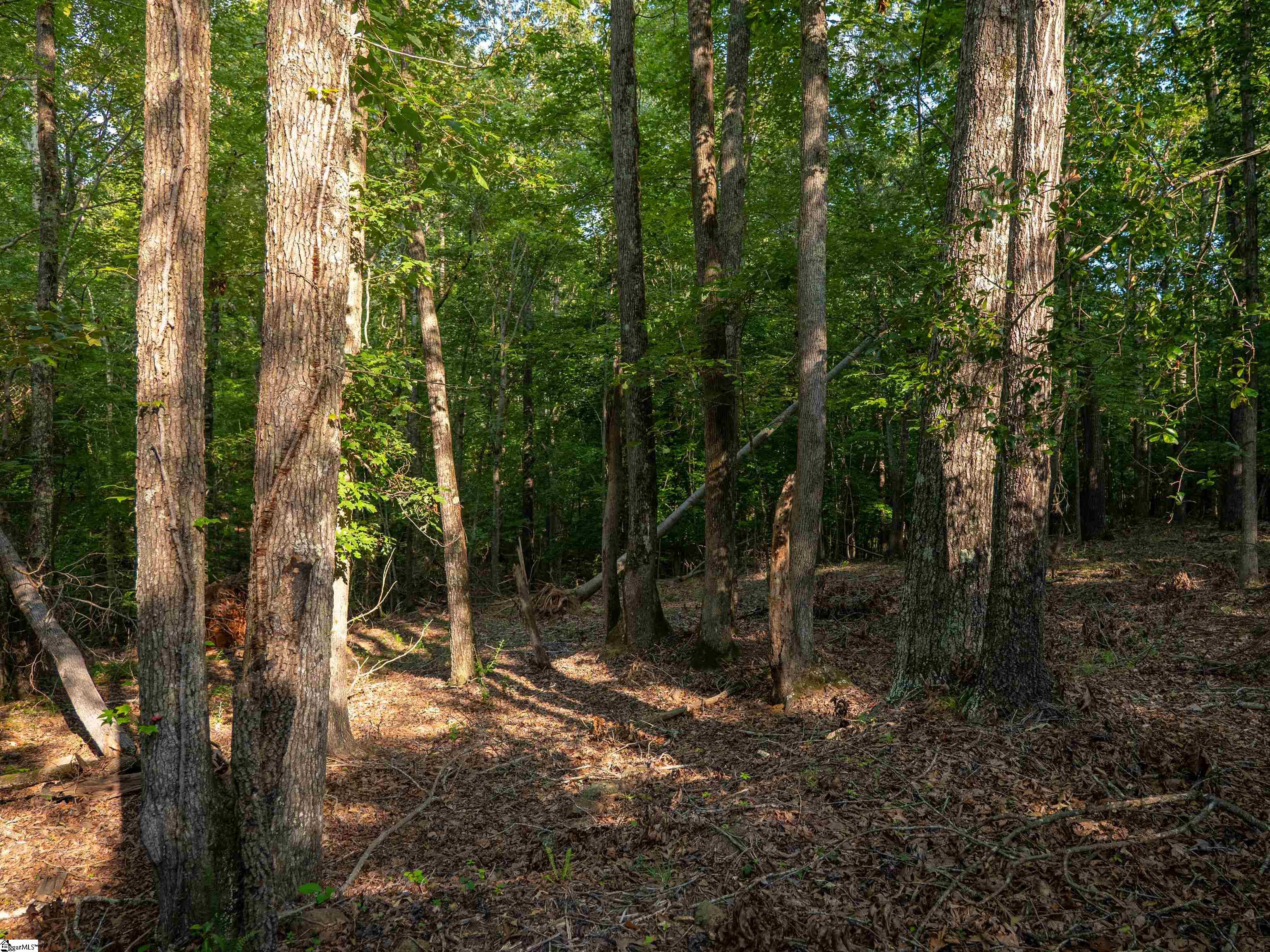 01 Goldmine Road Pacolet, SC 29372
