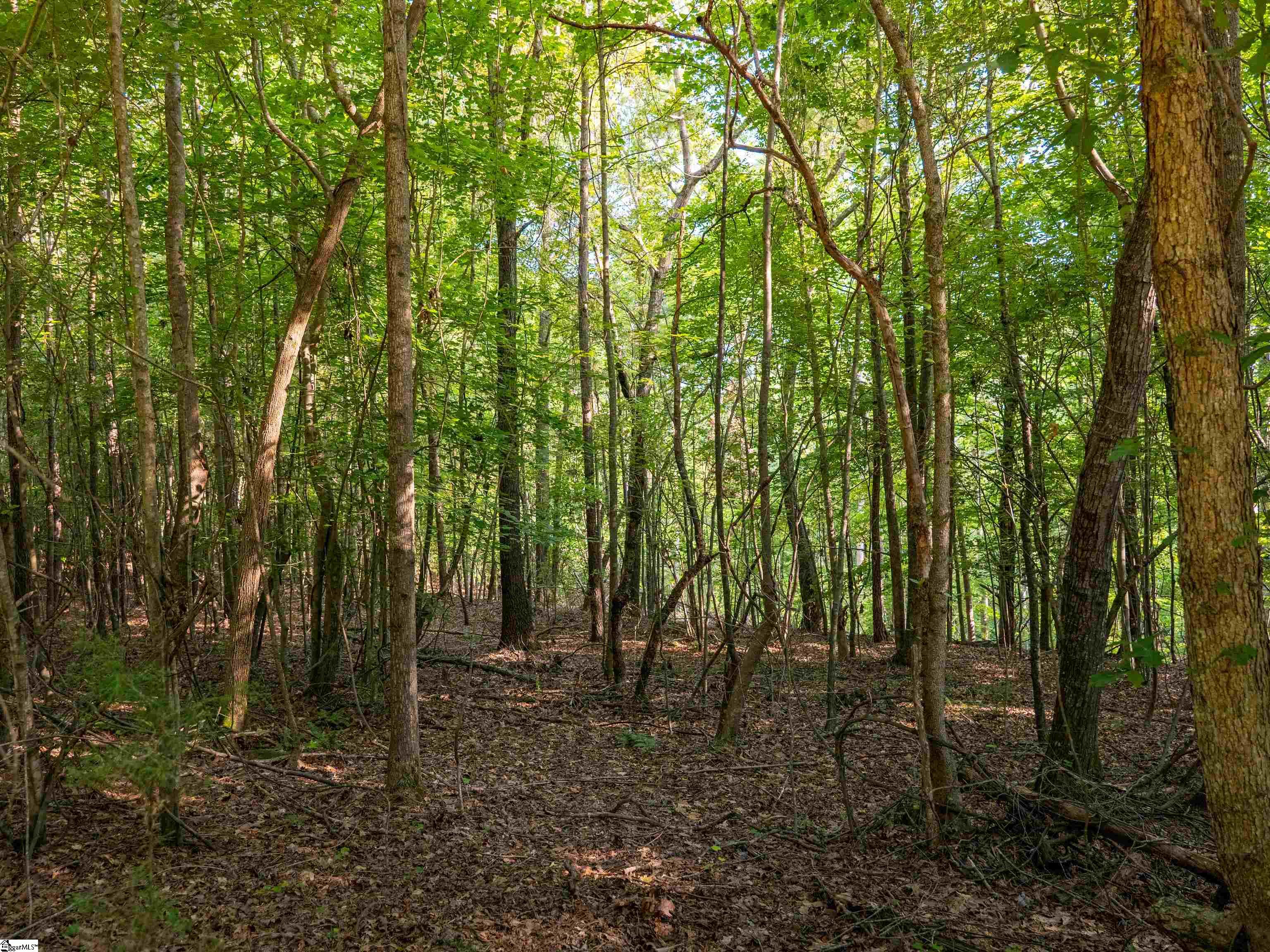 01 Goldmine Road Pacolet, SC 29372