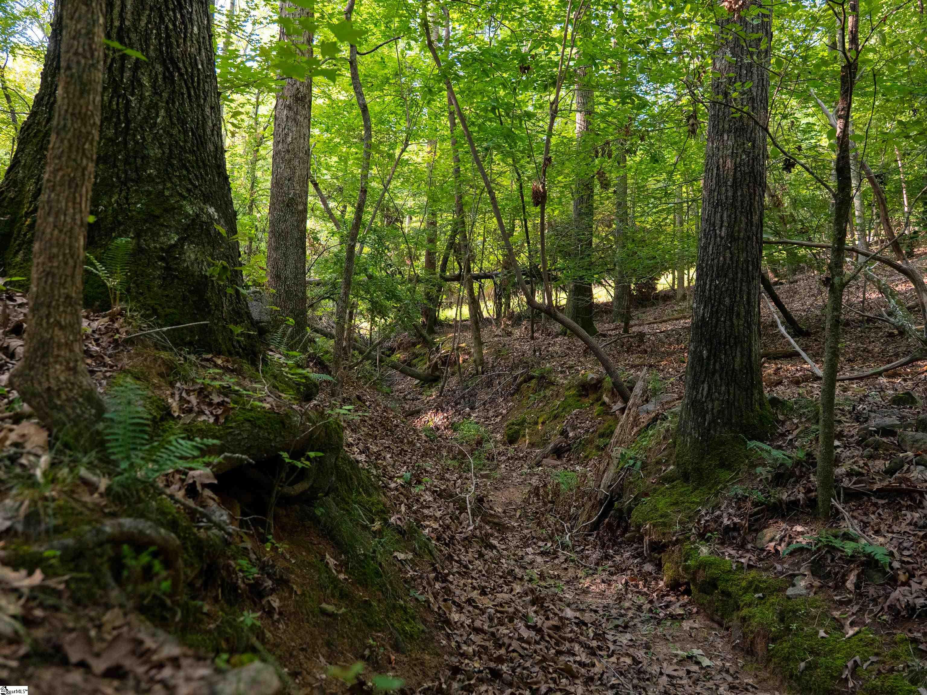 01 Goldmine Road Pacolet, SC 29372