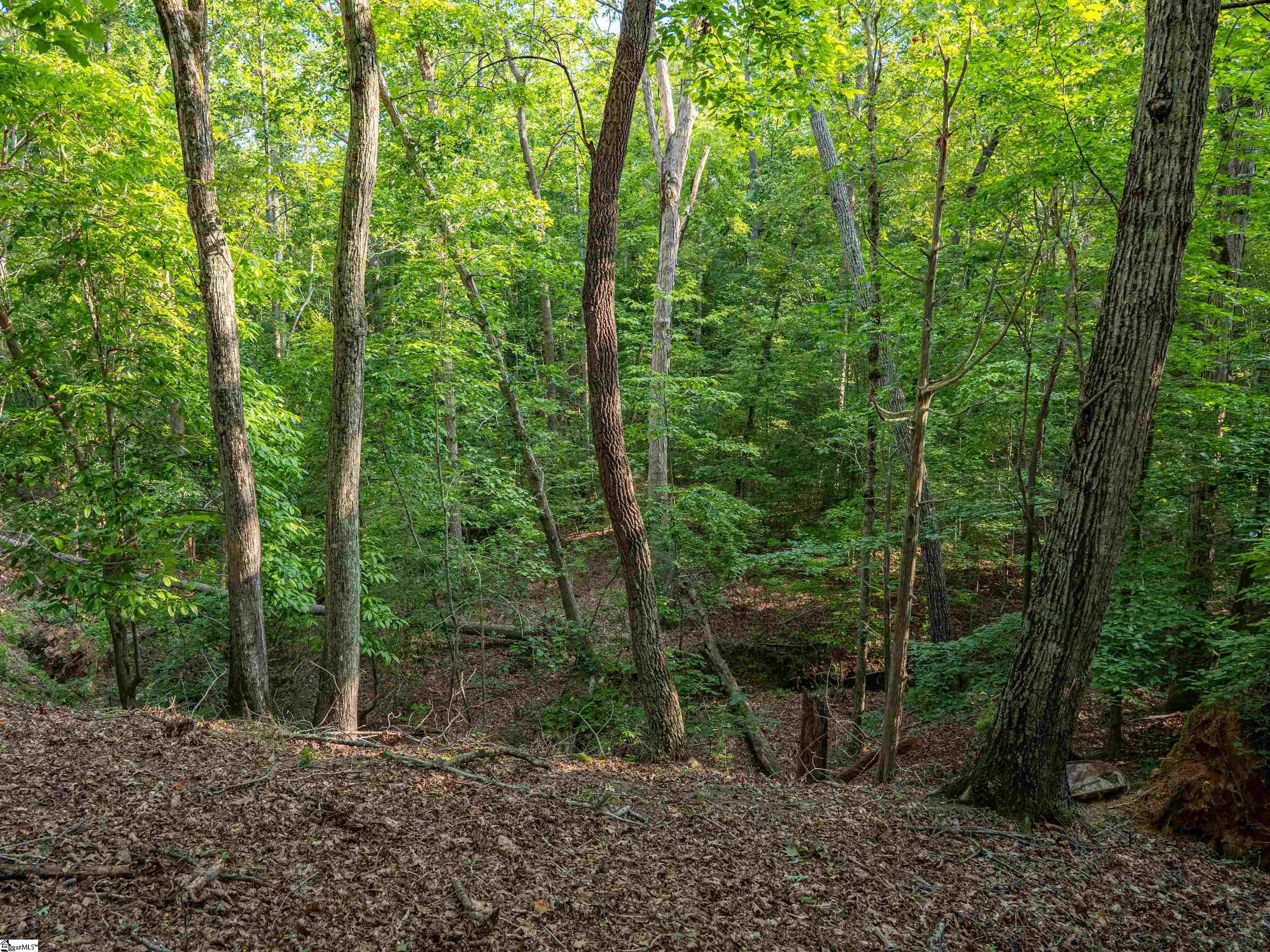 01 Goldmine Road Pacolet, SC 29372