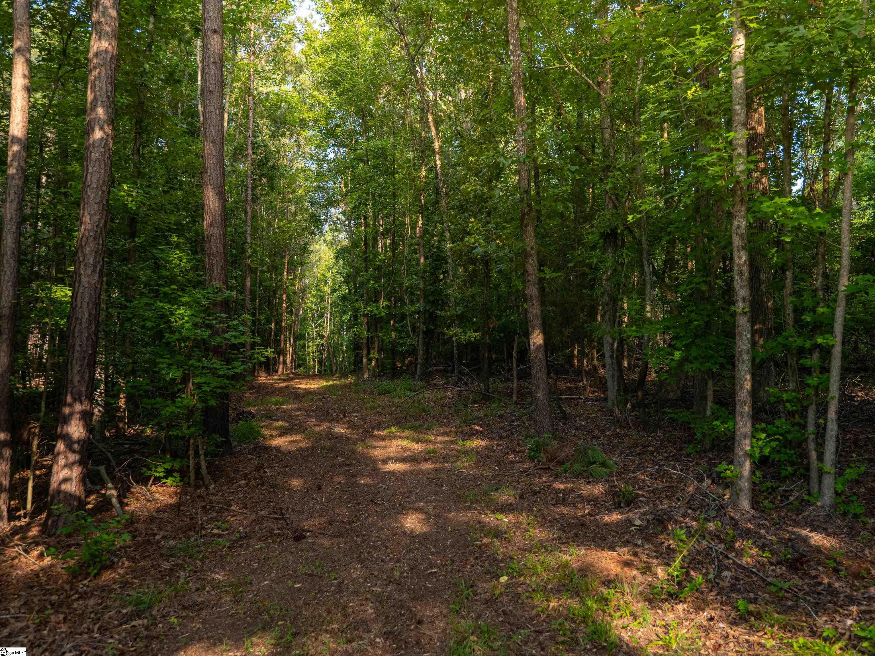 01 Goldmine Road Pacolet, SC 29372
