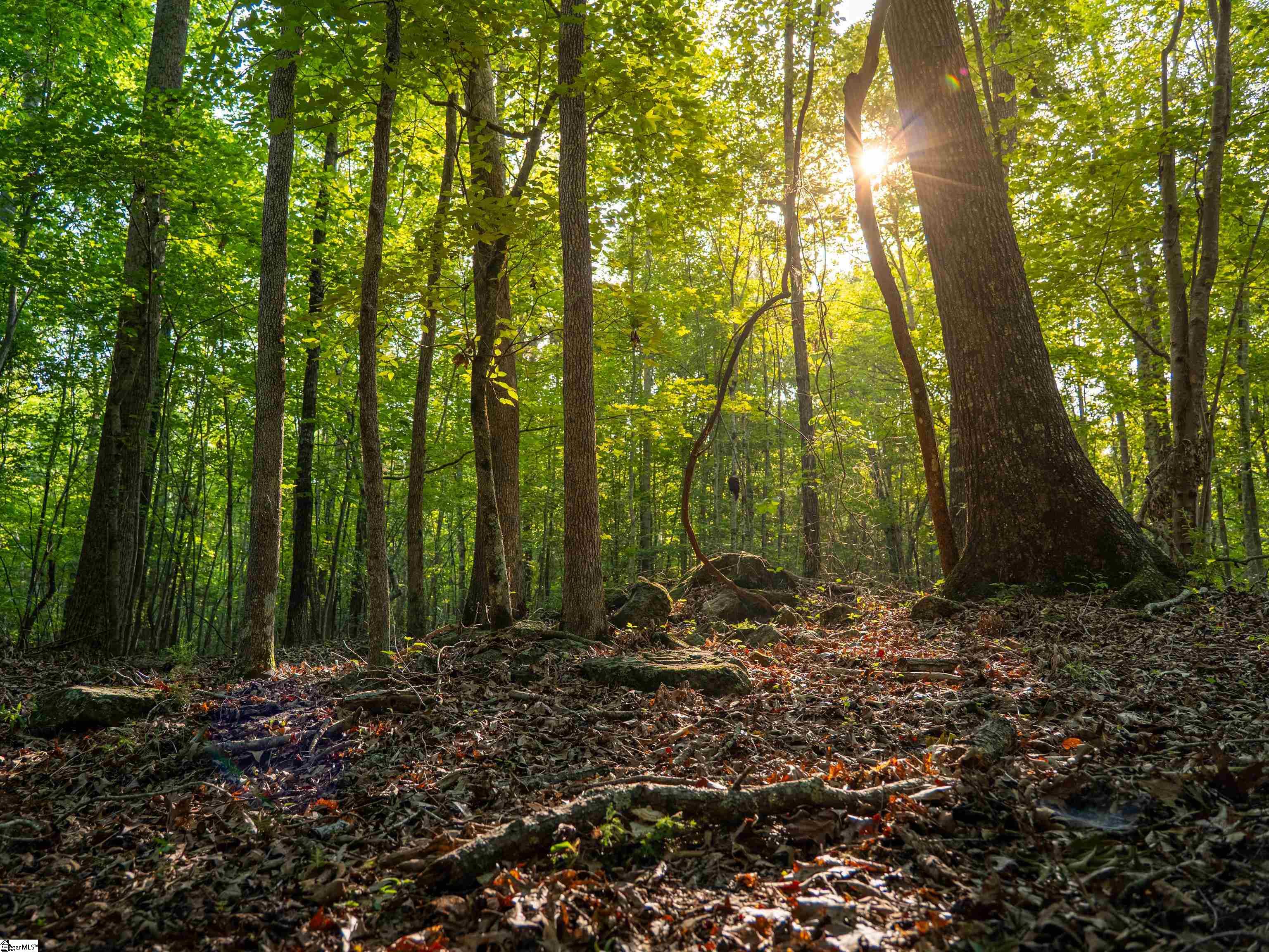 019 Goldmine Road Pacolet, SC 29372