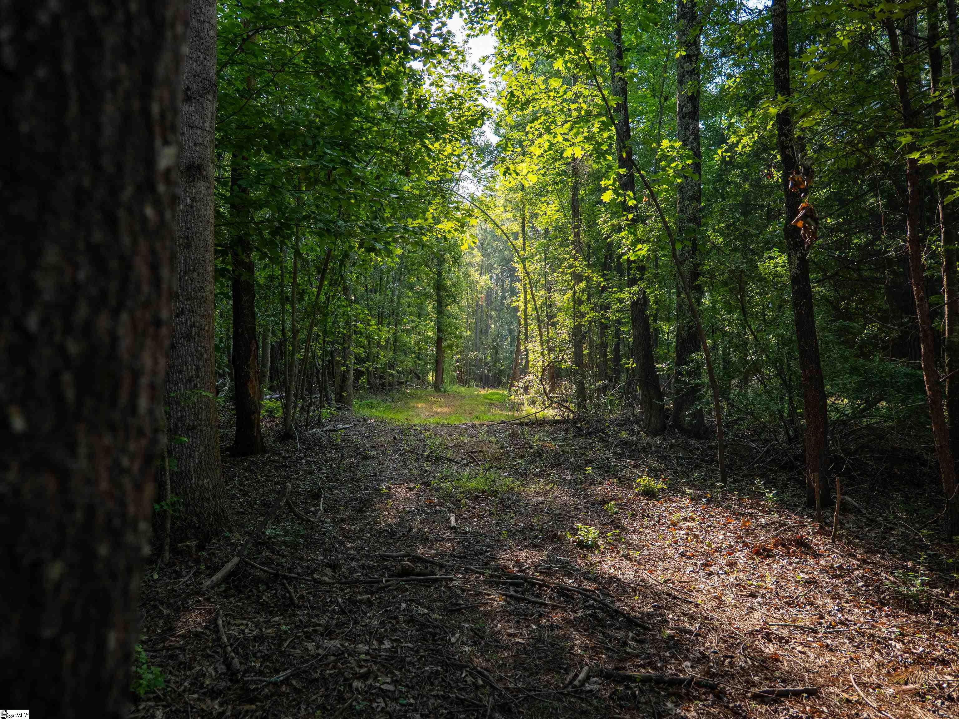 019 Goldmine Road Pacolet, SC 29372