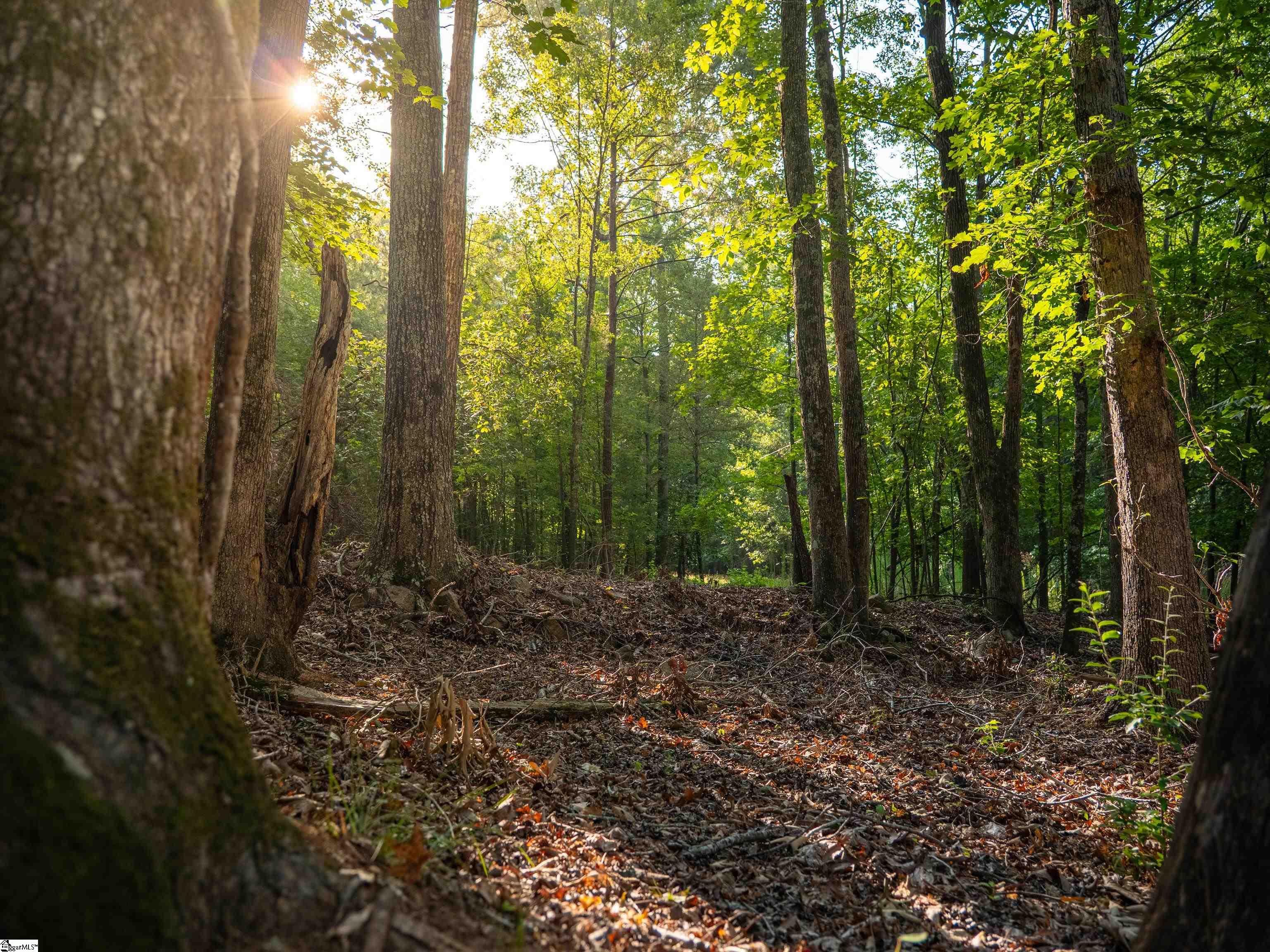019 Goldmine Road Pacolet, SC 29372