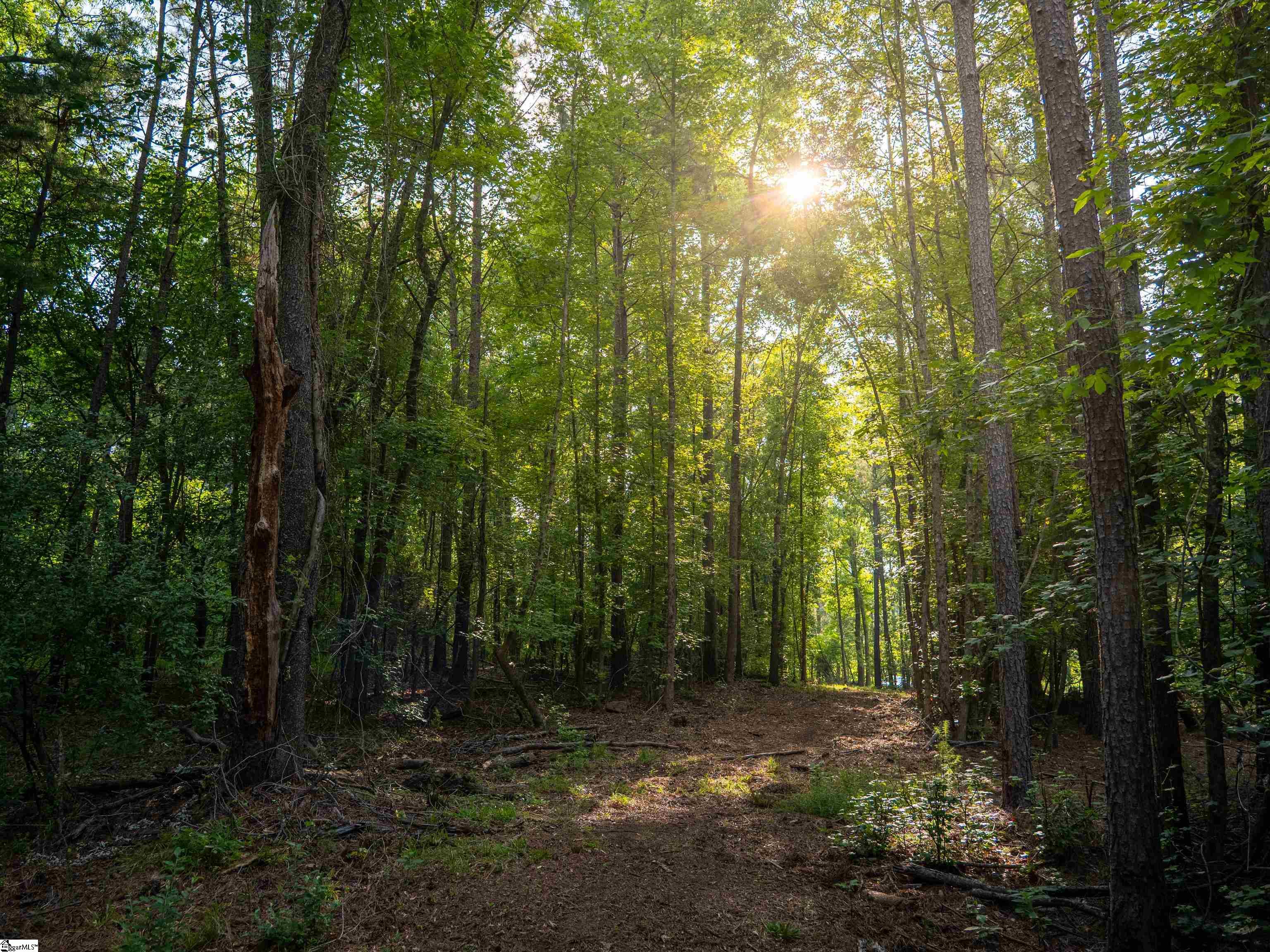 019 Goldmine Road Pacolet, SC 29372