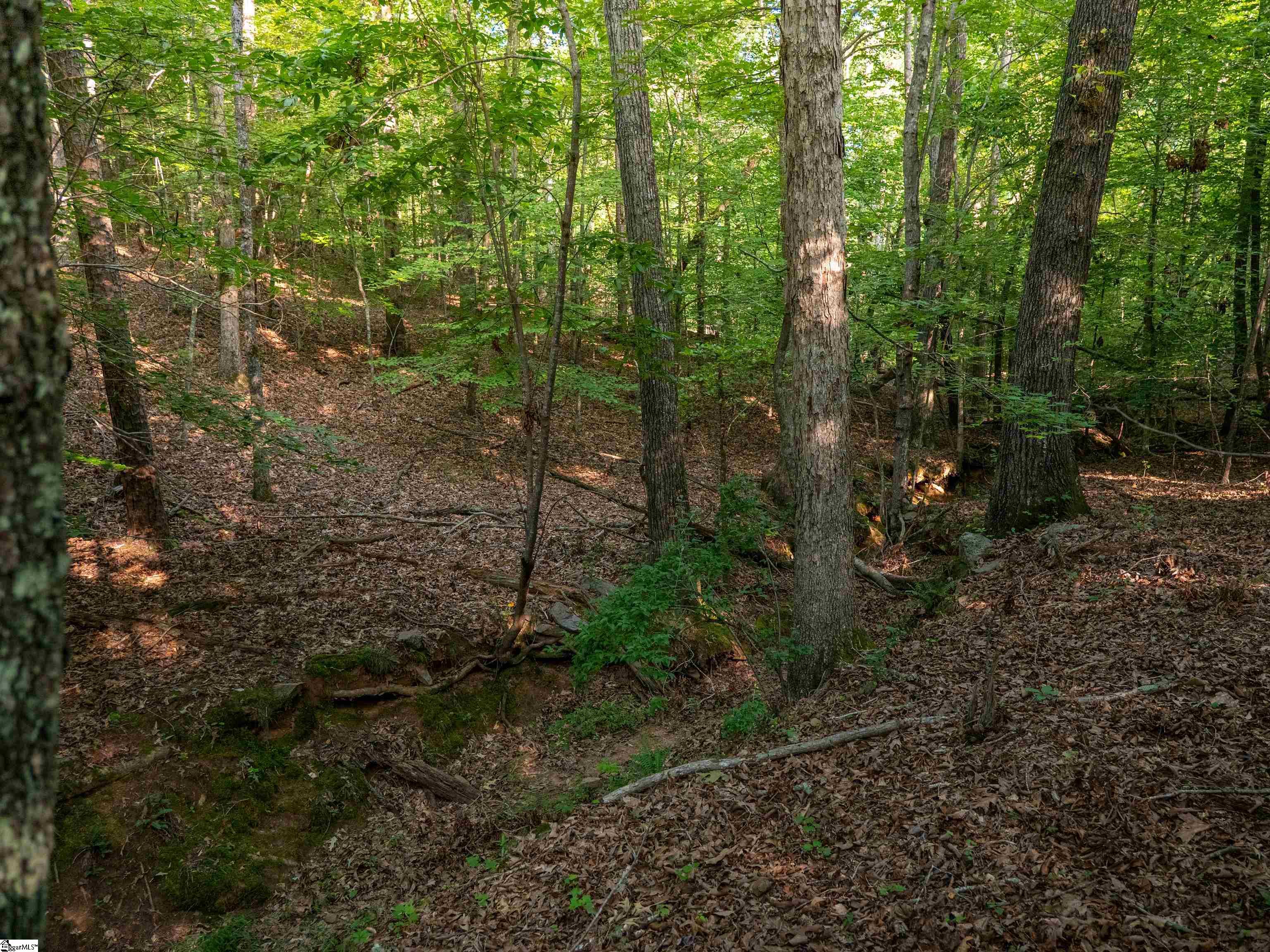 019 Goldmine Road Pacolet, SC 29372