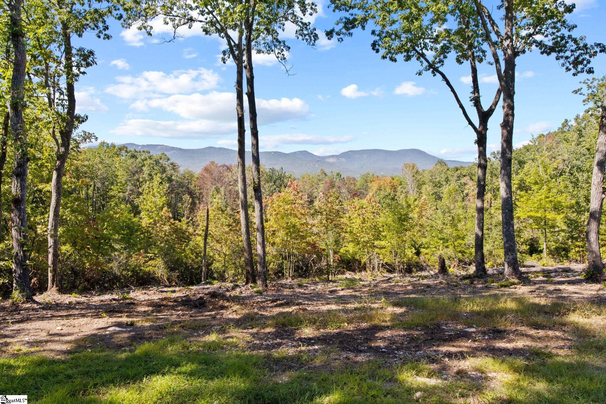 4518 Hawkins Road Greer, SC 29651