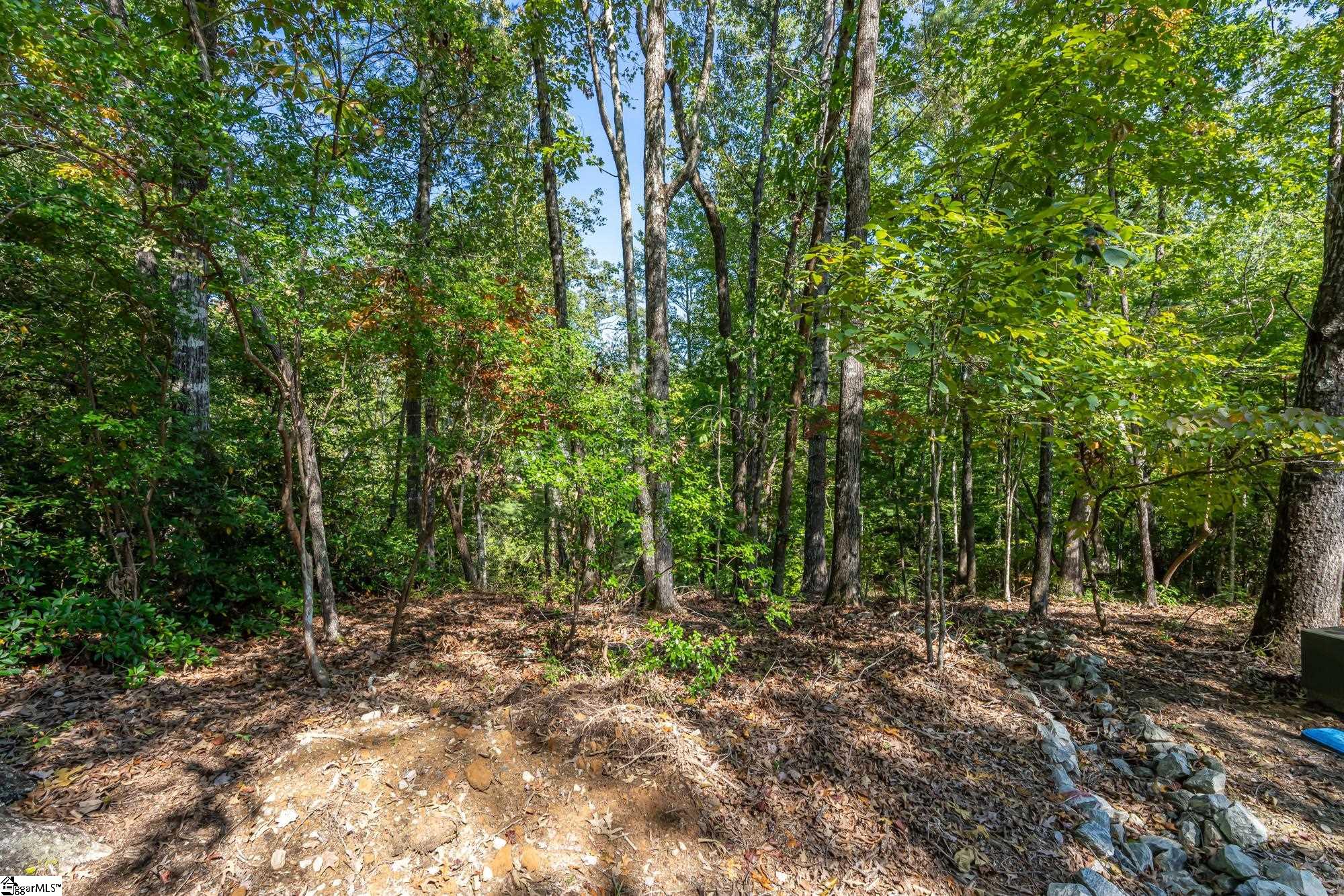 407 Clearwater Cove Salem, SC 29676