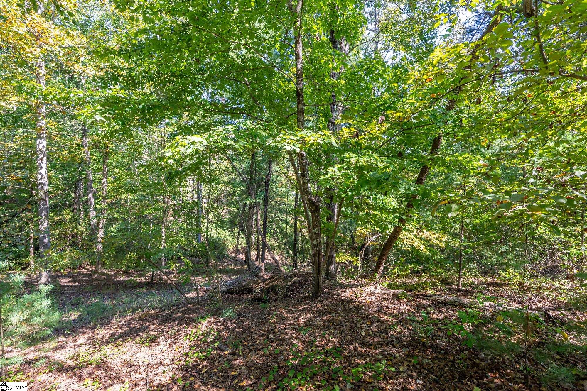 407 Clearwater Cove Salem, SC 29676
