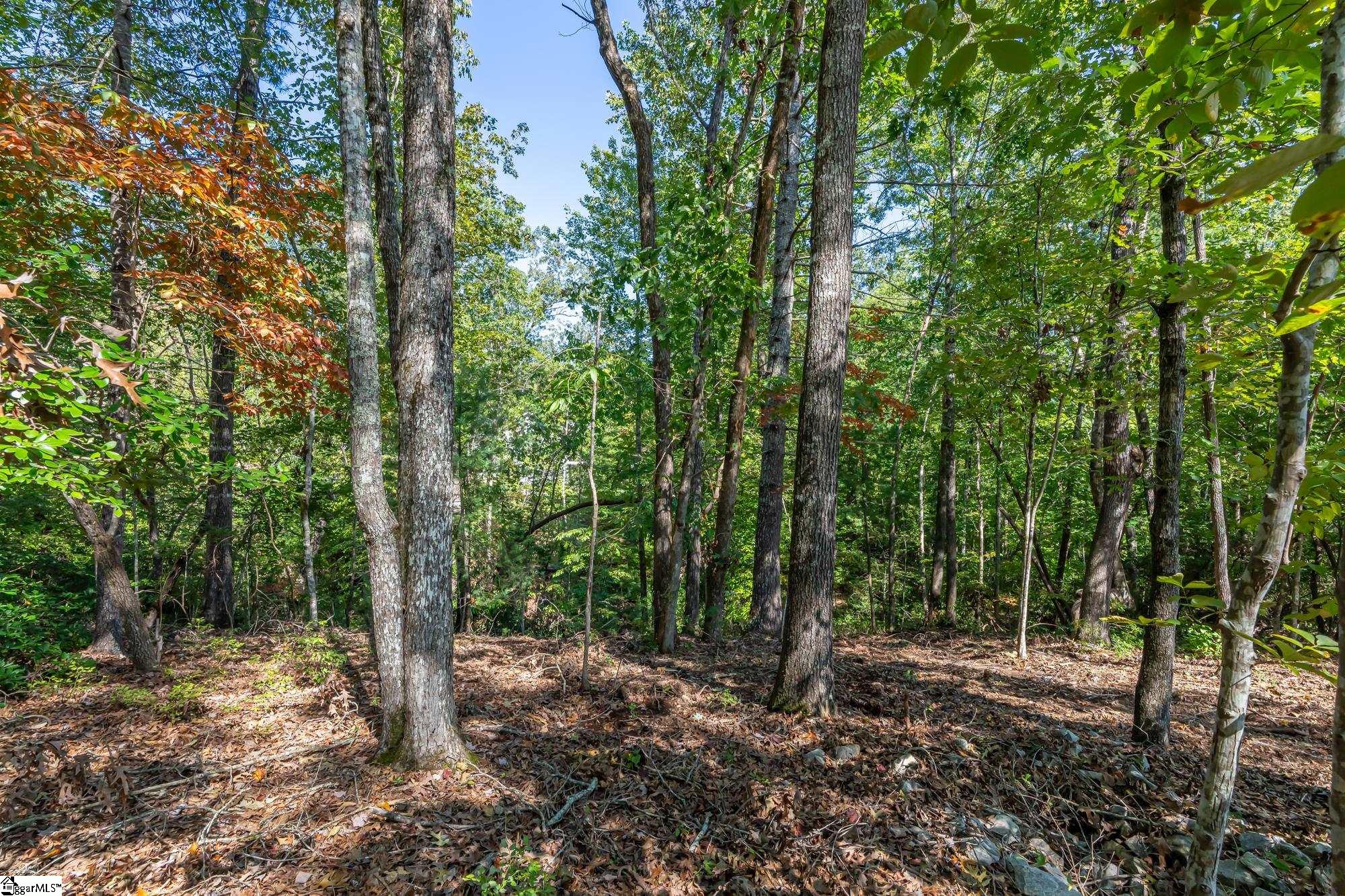 407 Clearwater Cove Salem, SC 29676