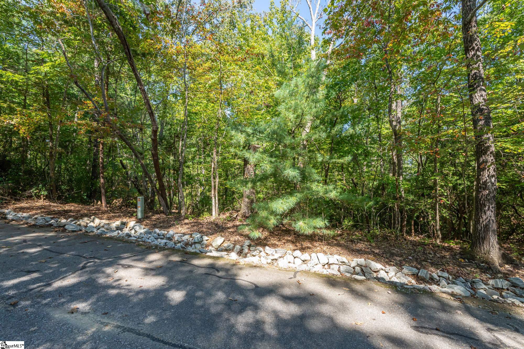 407 Clearwater Cove Salem, SC 29676