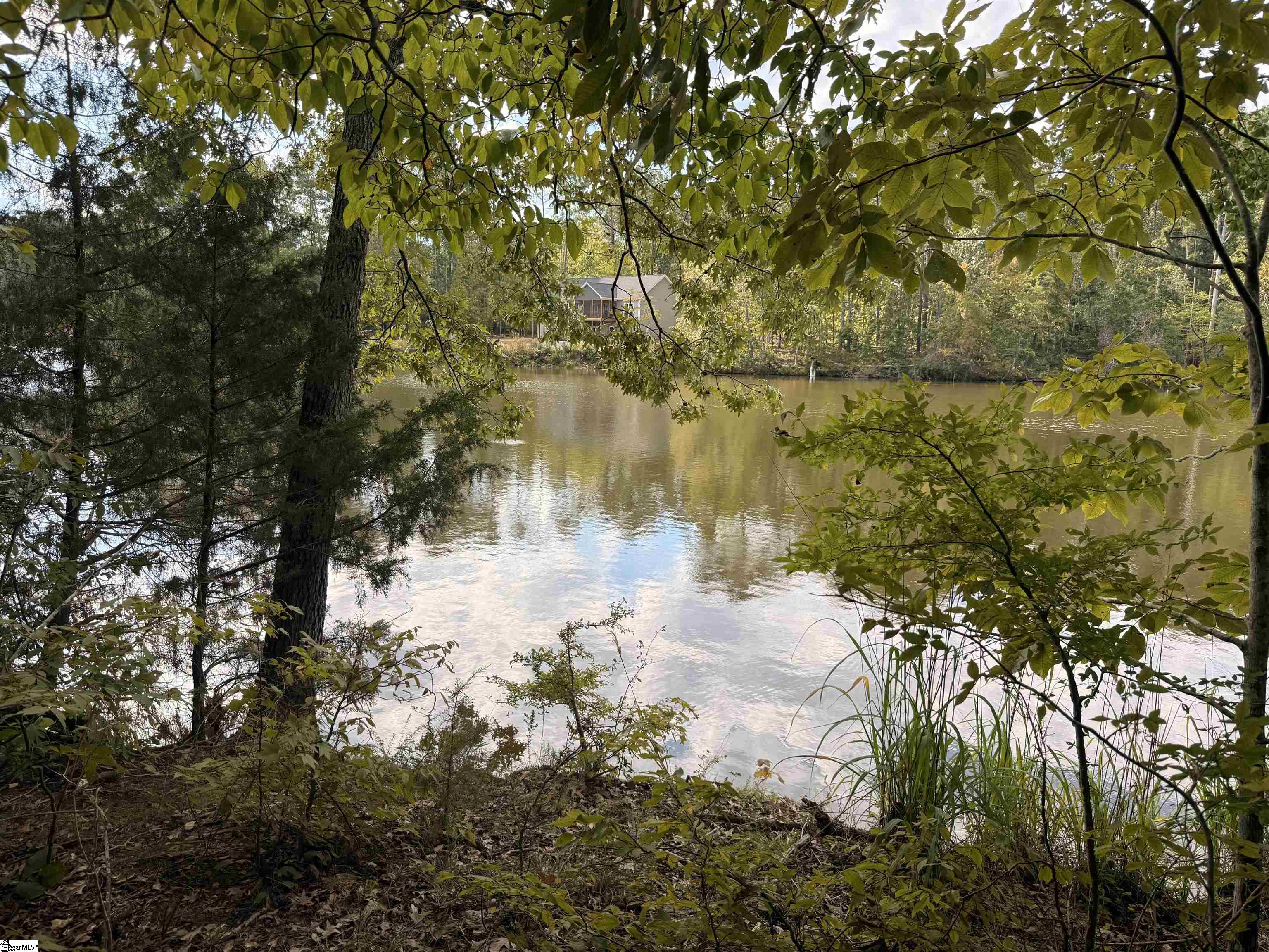 Watersedge Drive Cross Hill, SC 29360