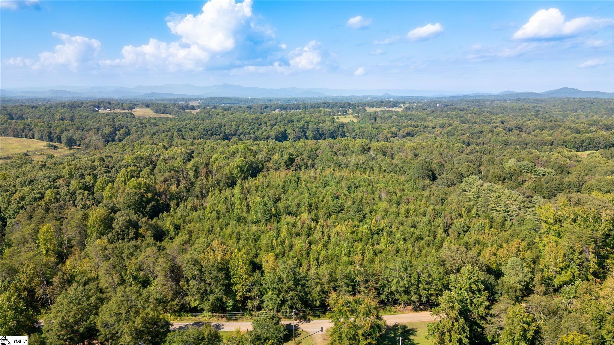 00 Odell Road Liberty, SC 29657-9239