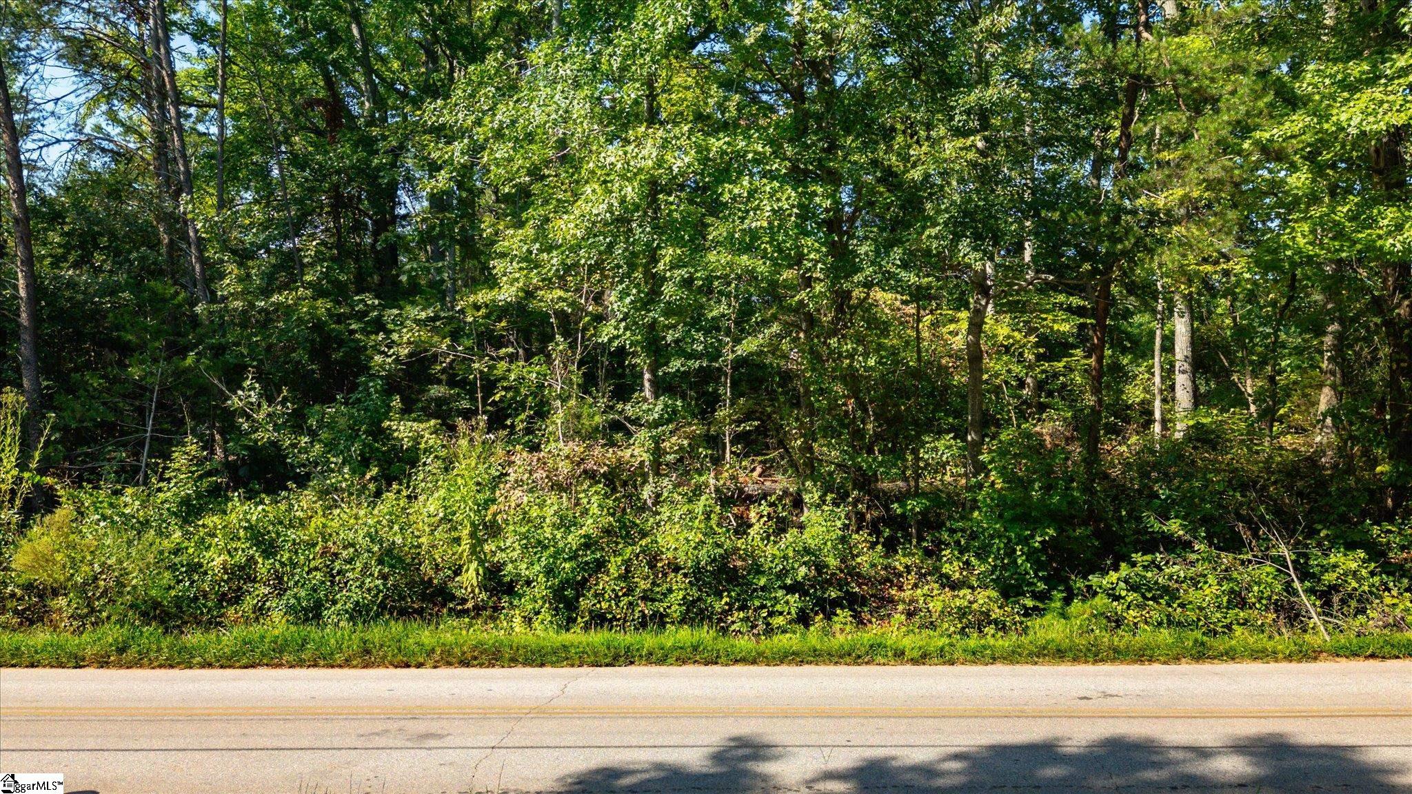 00 Odell Road Liberty, SC 29657-9239