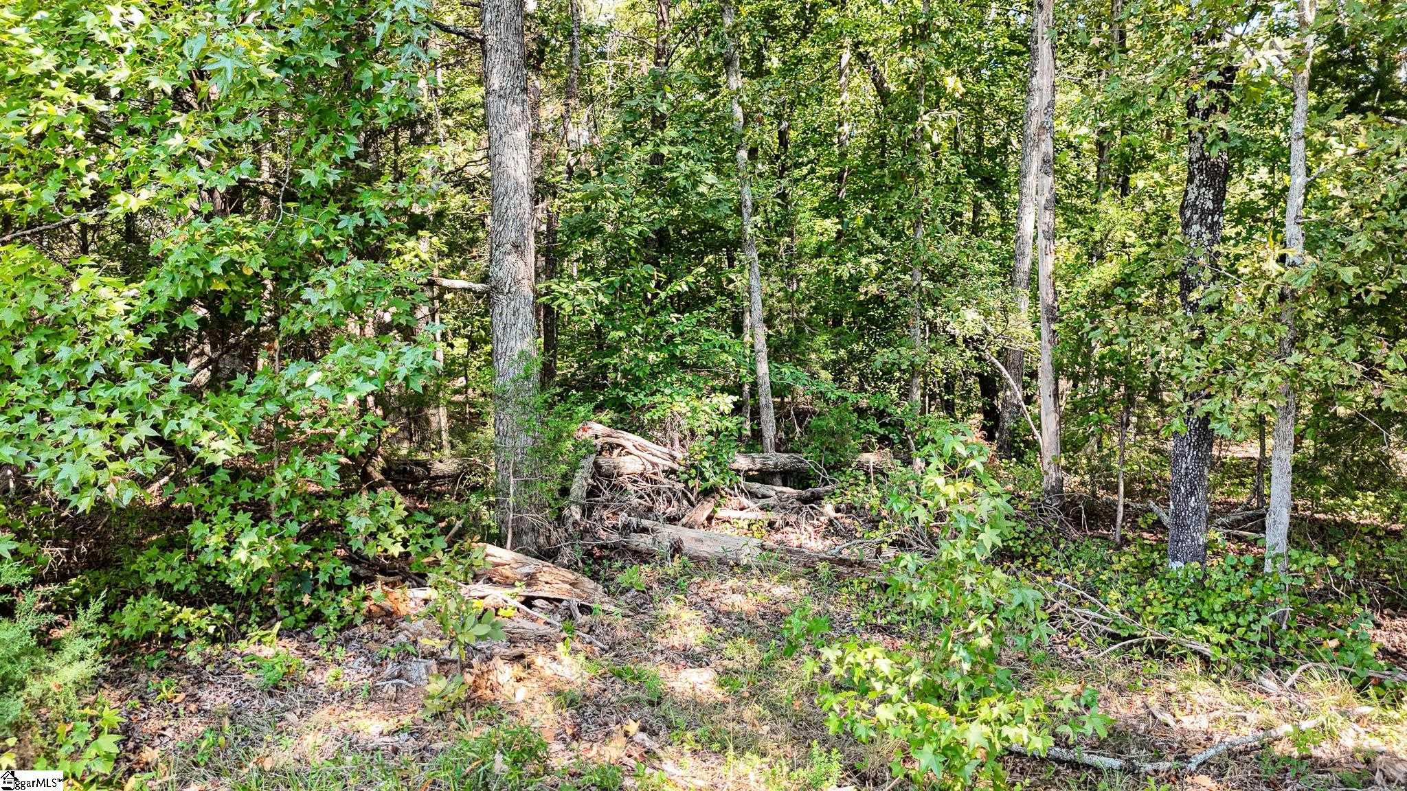 249 W Chapman Road Belton, SC 29627
