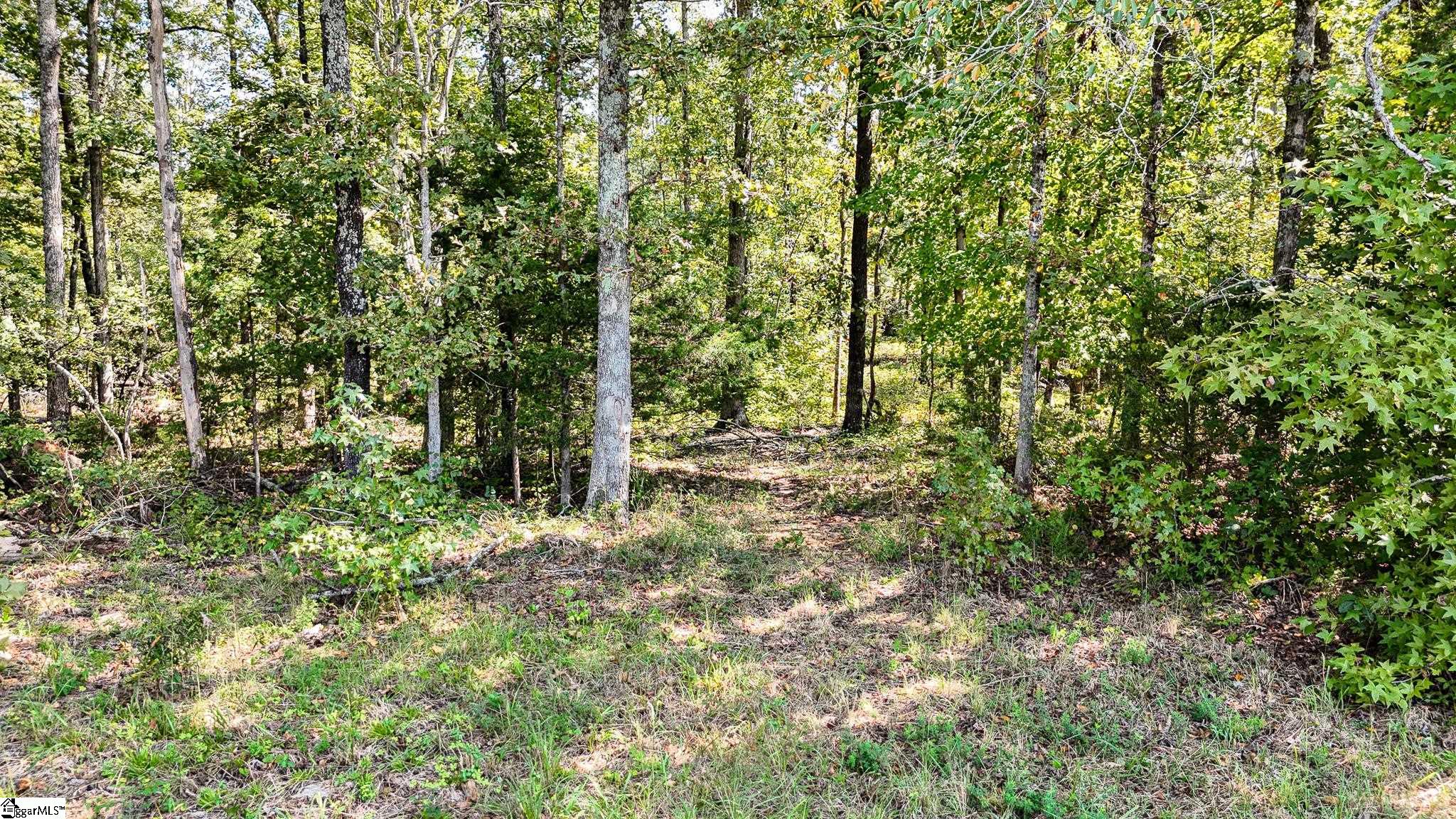 249 W Chapman Road Belton, SC 29627