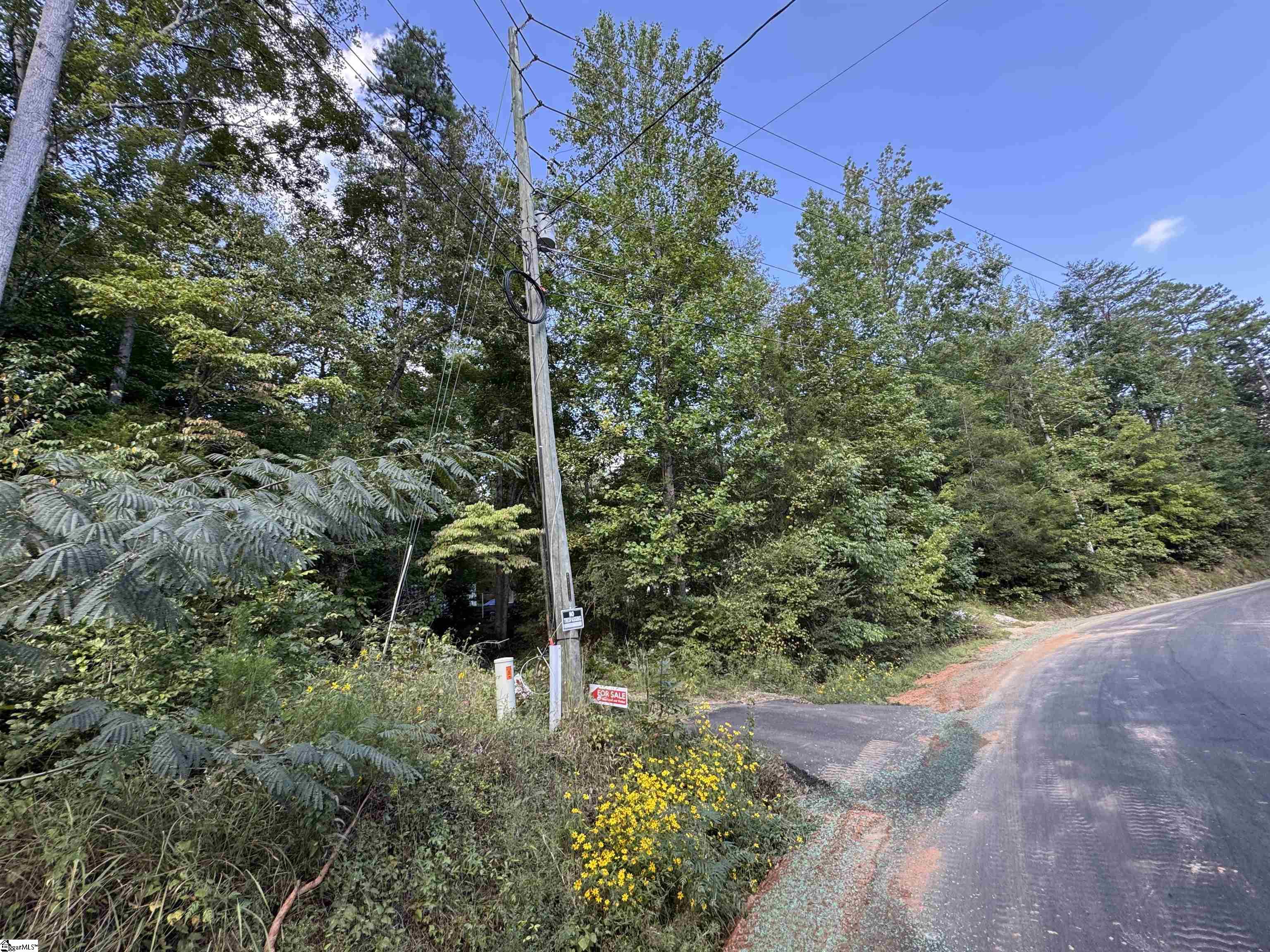 1282 Cobb Bridge Road Westminster, SC 29693-0001
