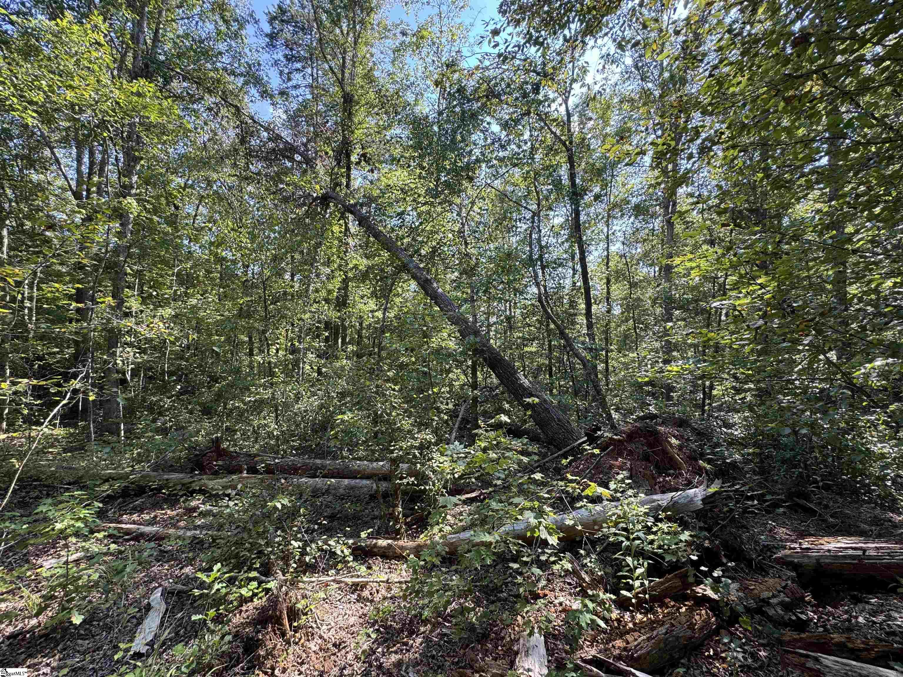 1282 Cobb Bridge Road Westminster, SC 29693-0001