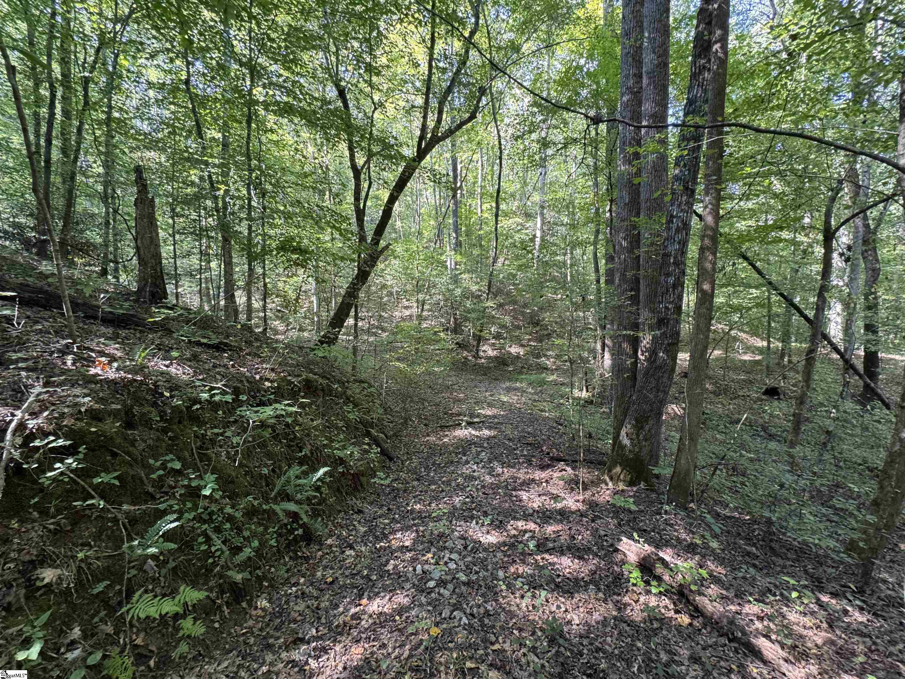 1282 Cobb Bridge Road Westminster, SC 29693-0001