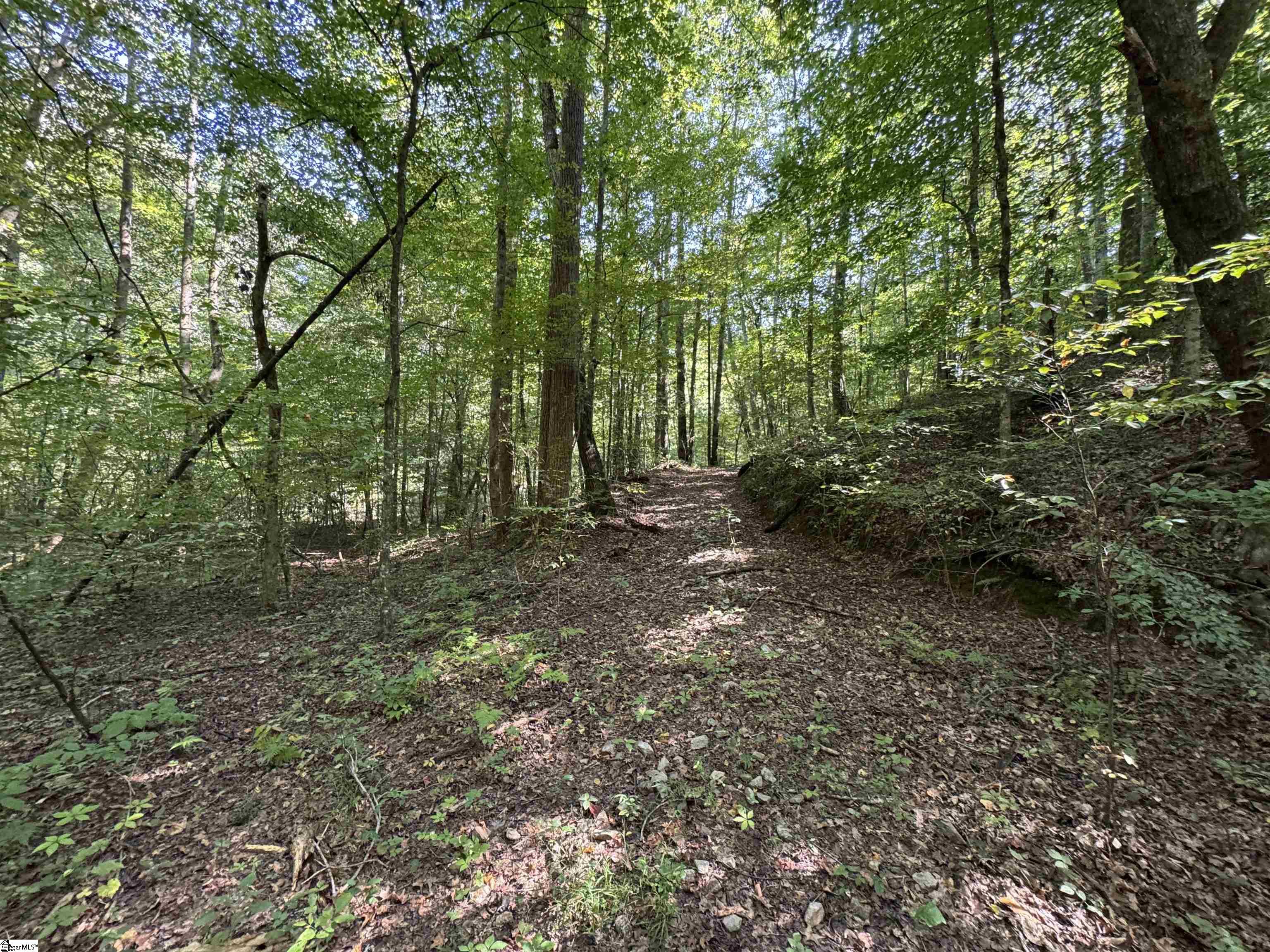 1282 Cobb Bridge Road Westminster, SC 29693-0001