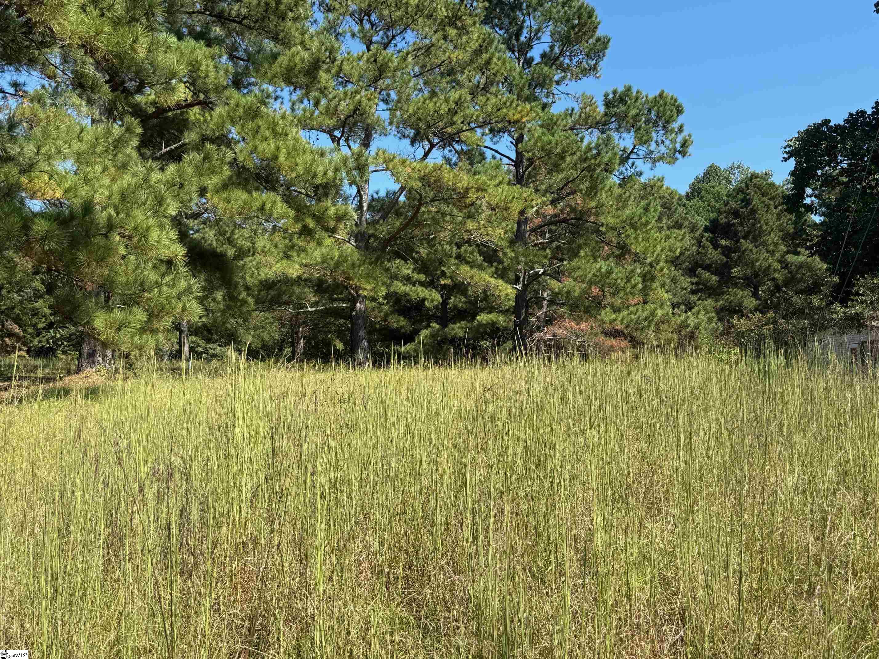 Water Mill Road Cowpens, SC 29330