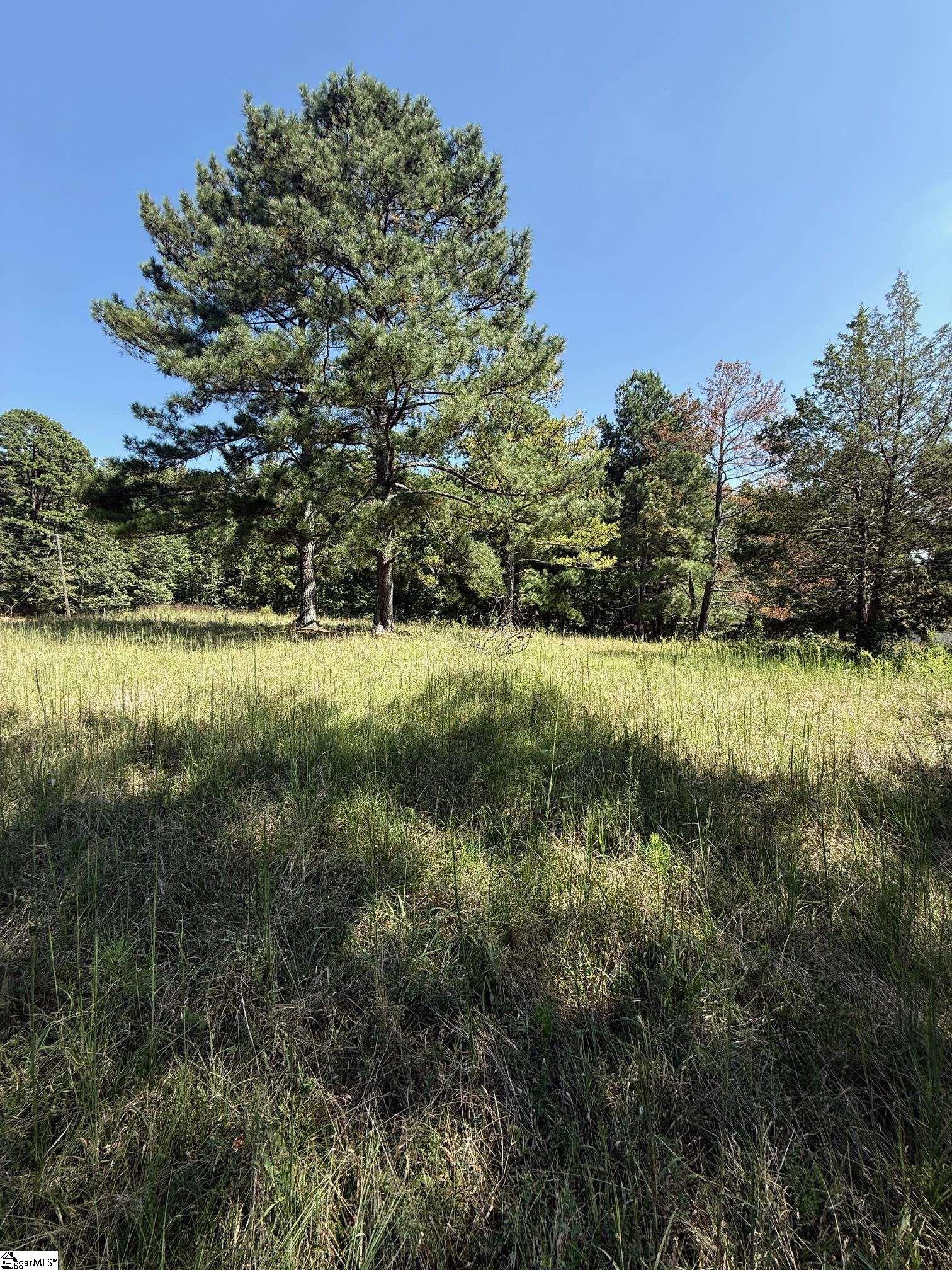Water Mill Road Cowpens, SC 29330