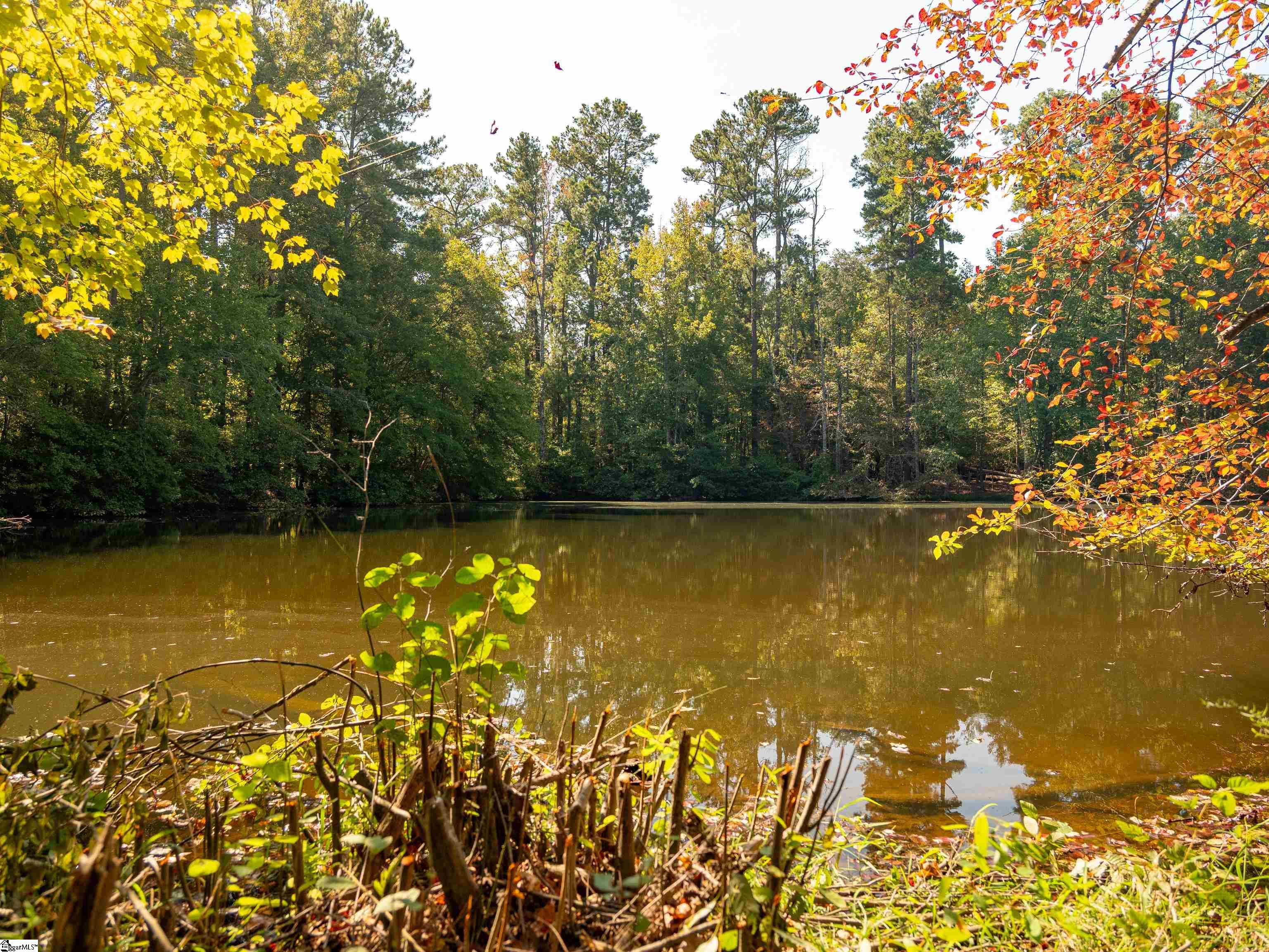00 Nash Mill Road Fountain Inn, SC 29644