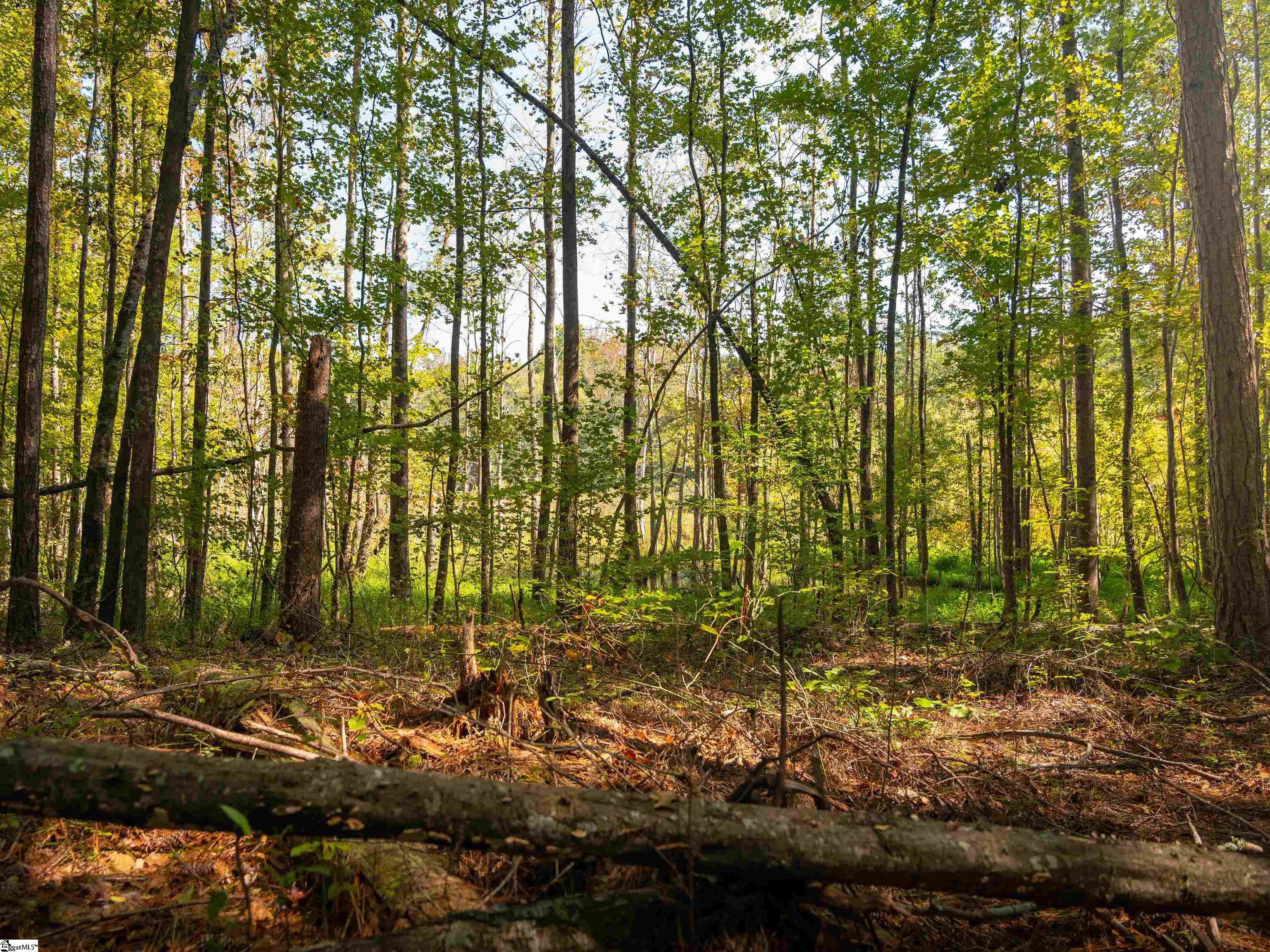 00 Nash Mill Road Fountain Inn, SC 29644