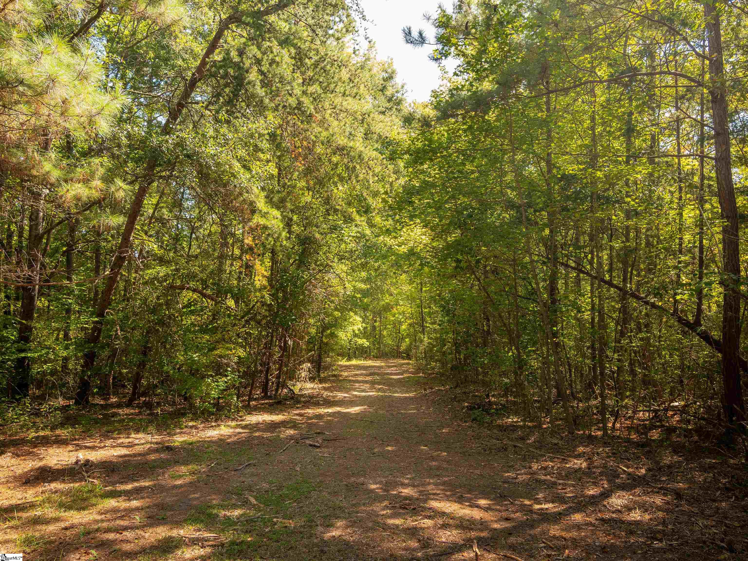 00 Nash Mill Road Fountain Inn, SC 29644