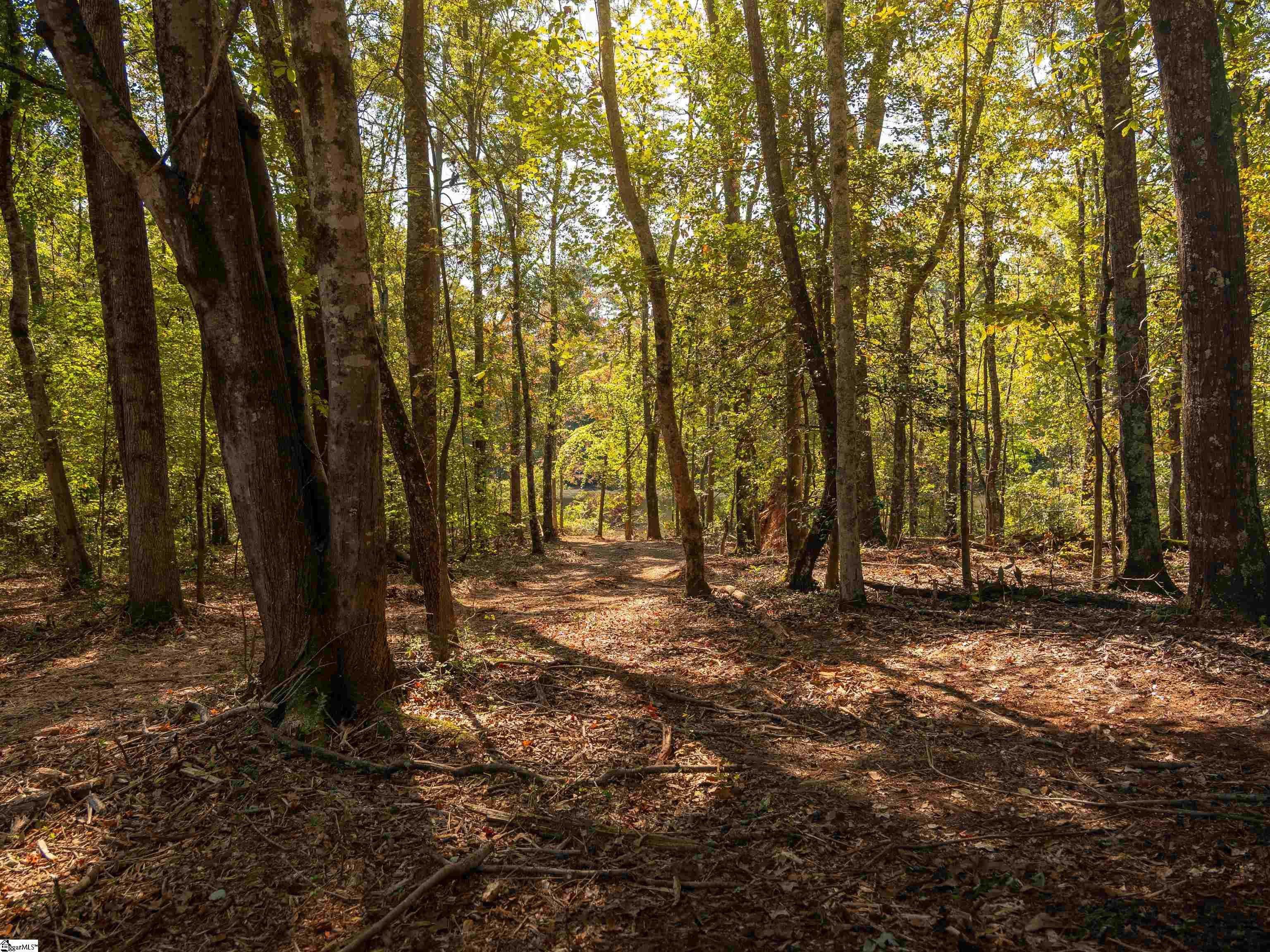 00 Nash Mill Road Fountain Inn, SC 29644