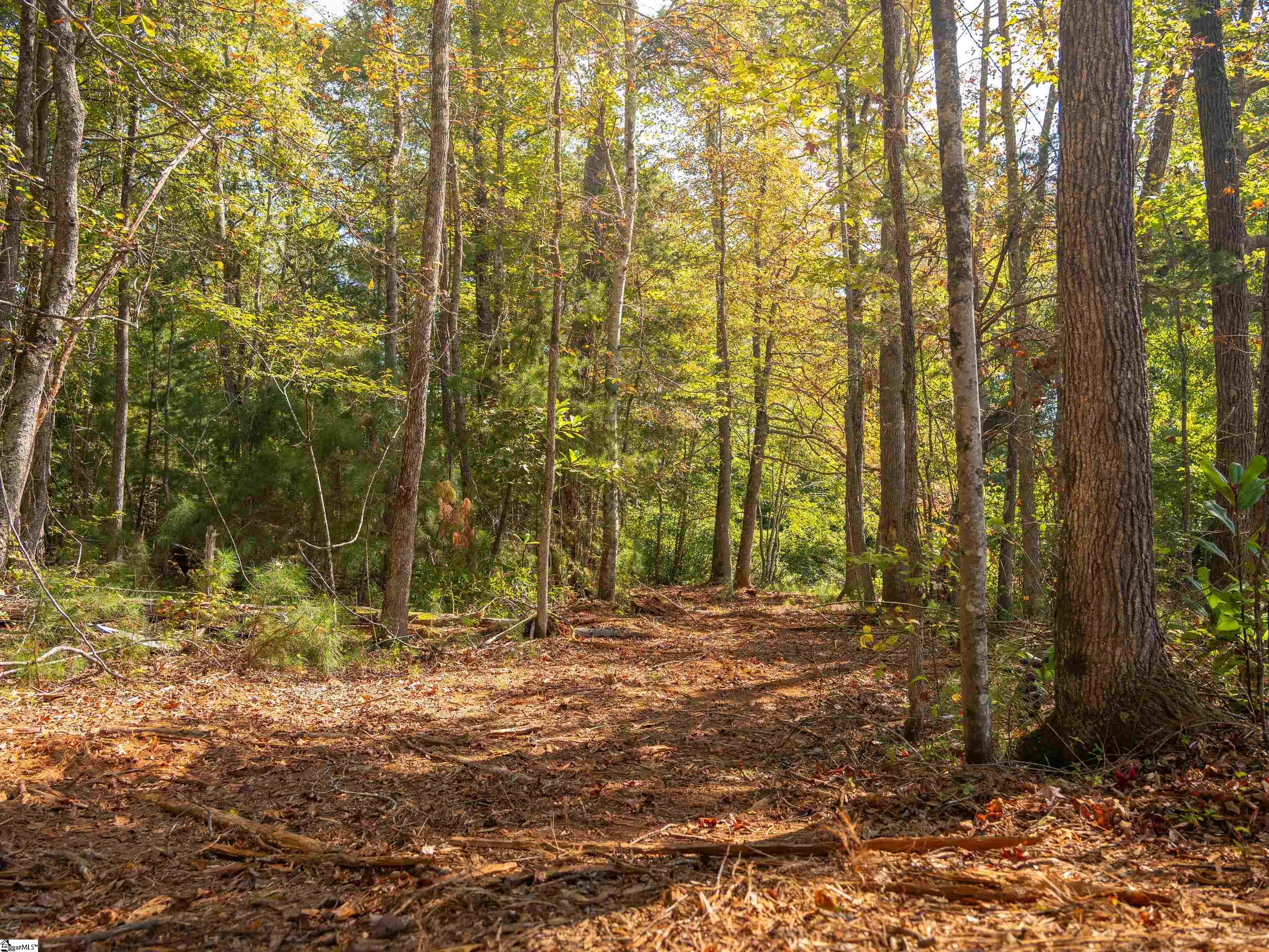 00 Nash Mill Road Fountain Inn, SC 29644