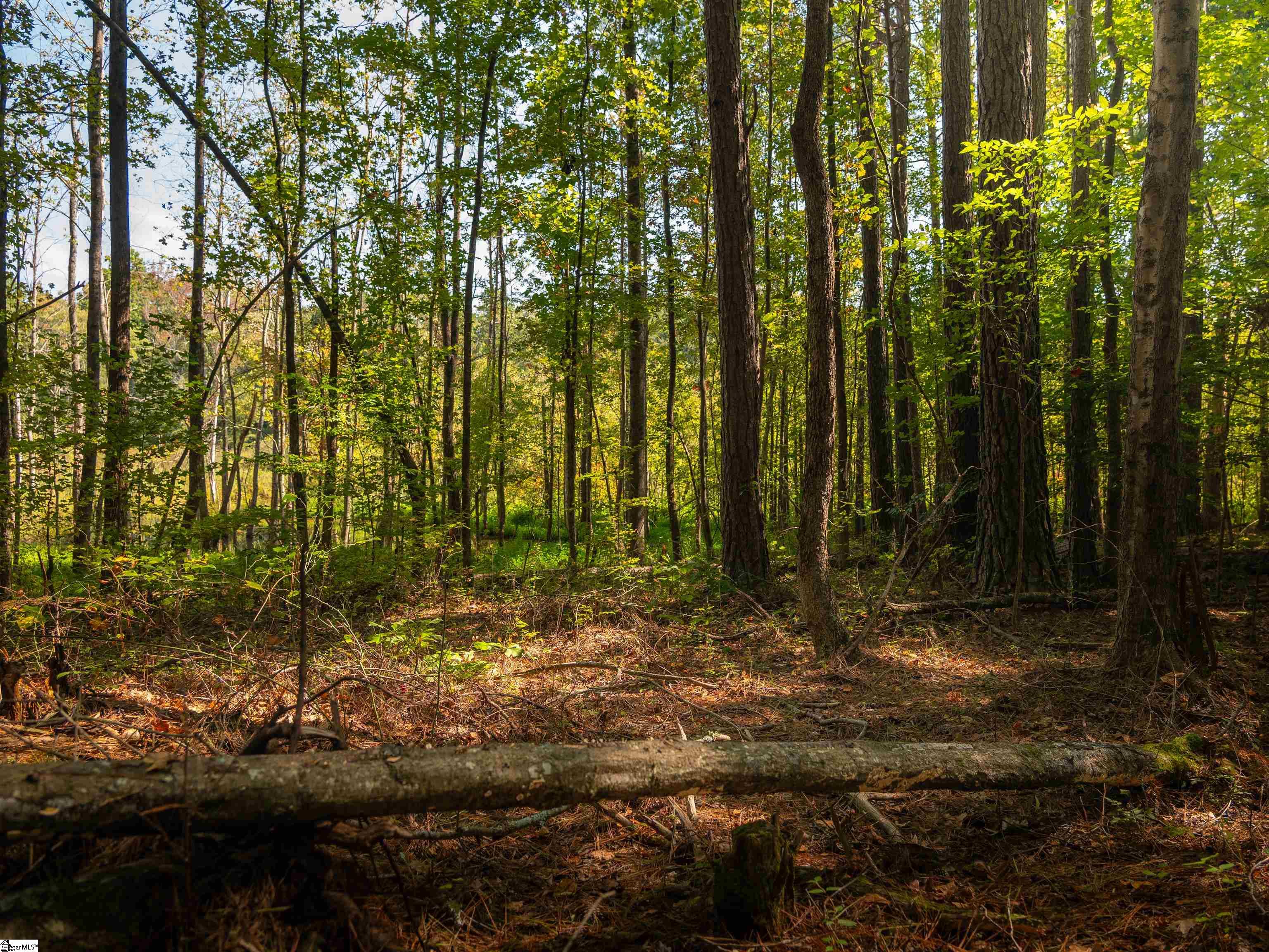 00 Nash Mill Road Fountain Inn, SC 29644