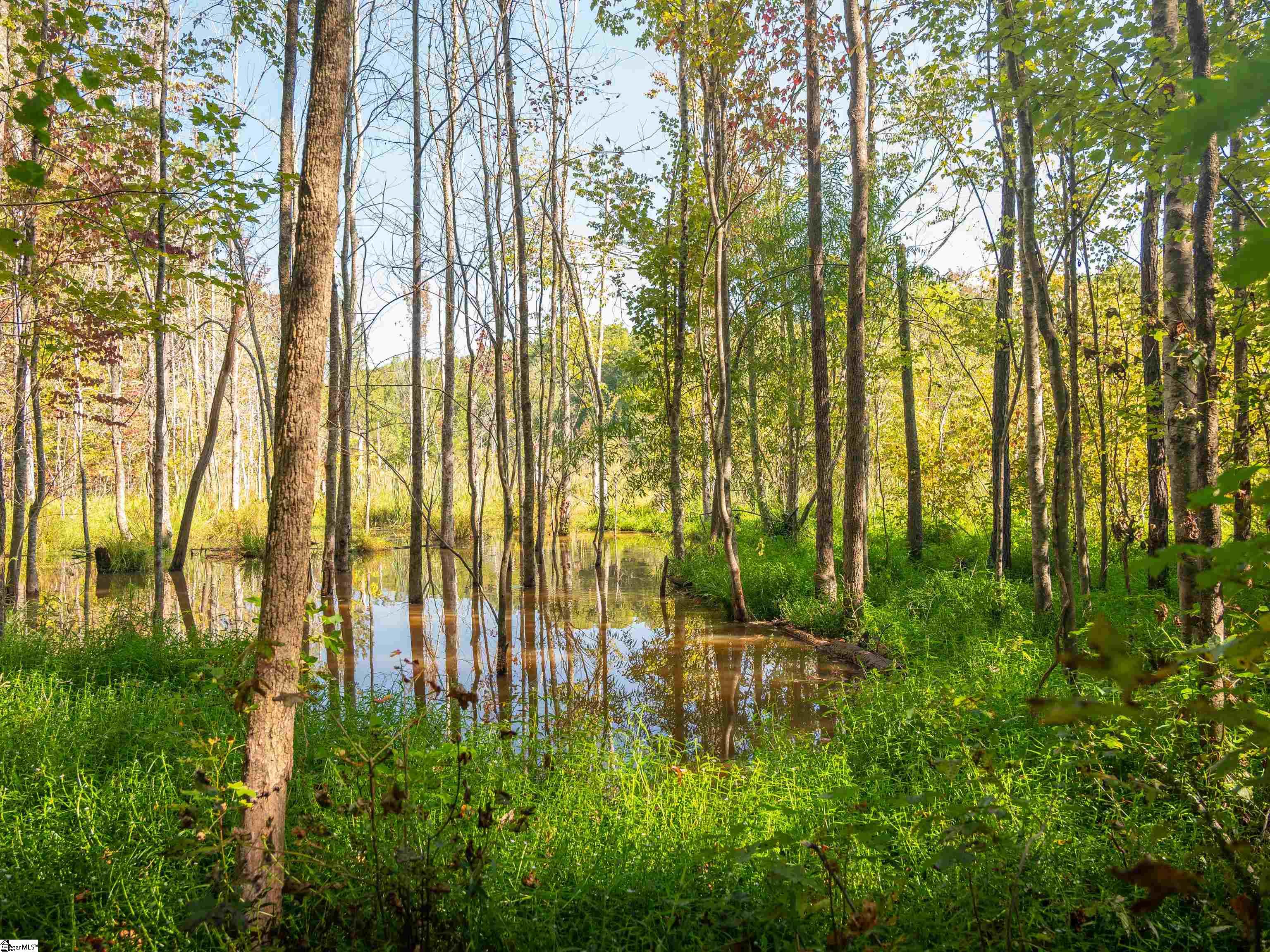 00 Nash Mill Road Fountain Inn, SC 29644
