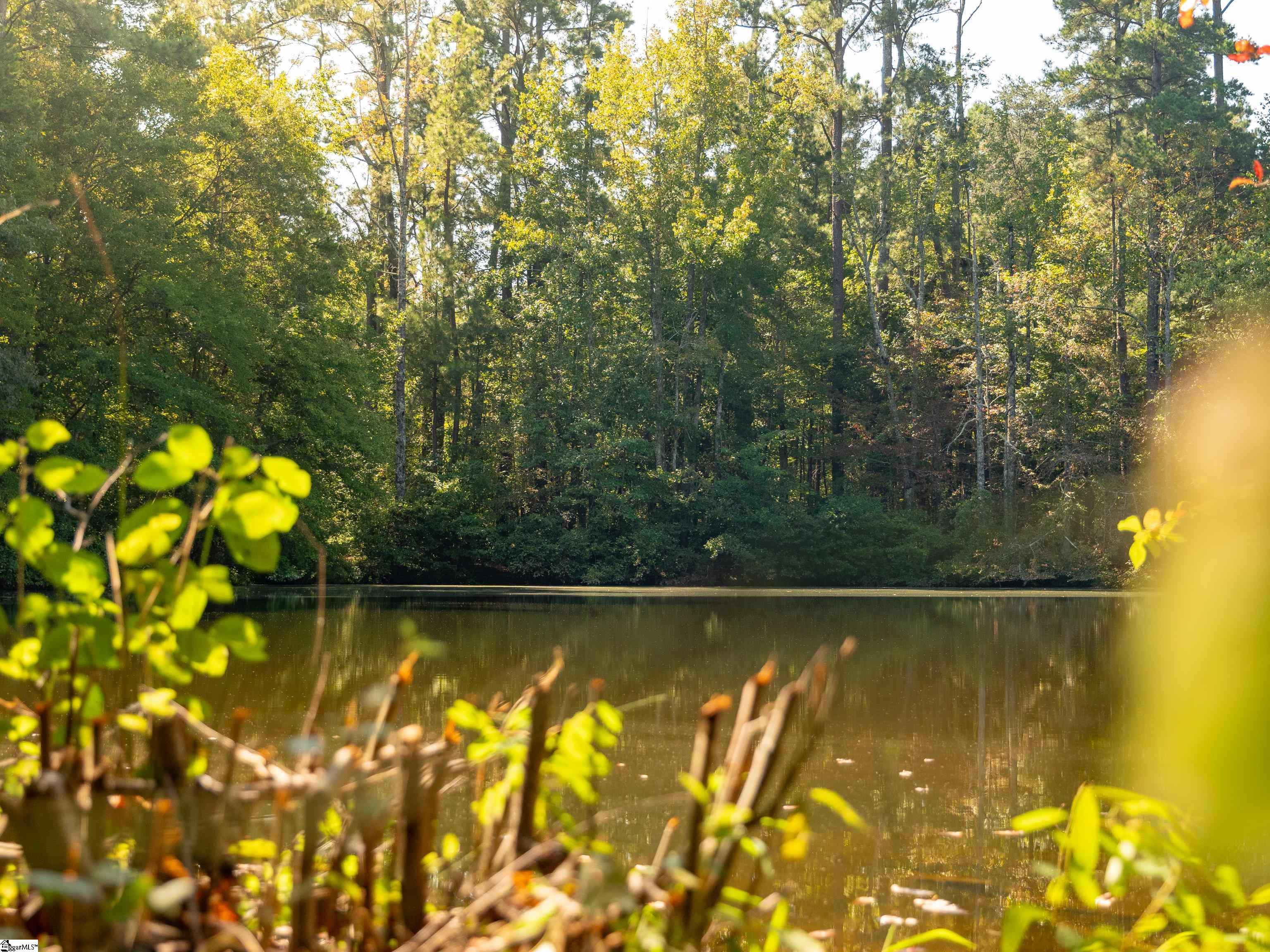 00 Nash Mill Road Fountain Inn, SC 29644