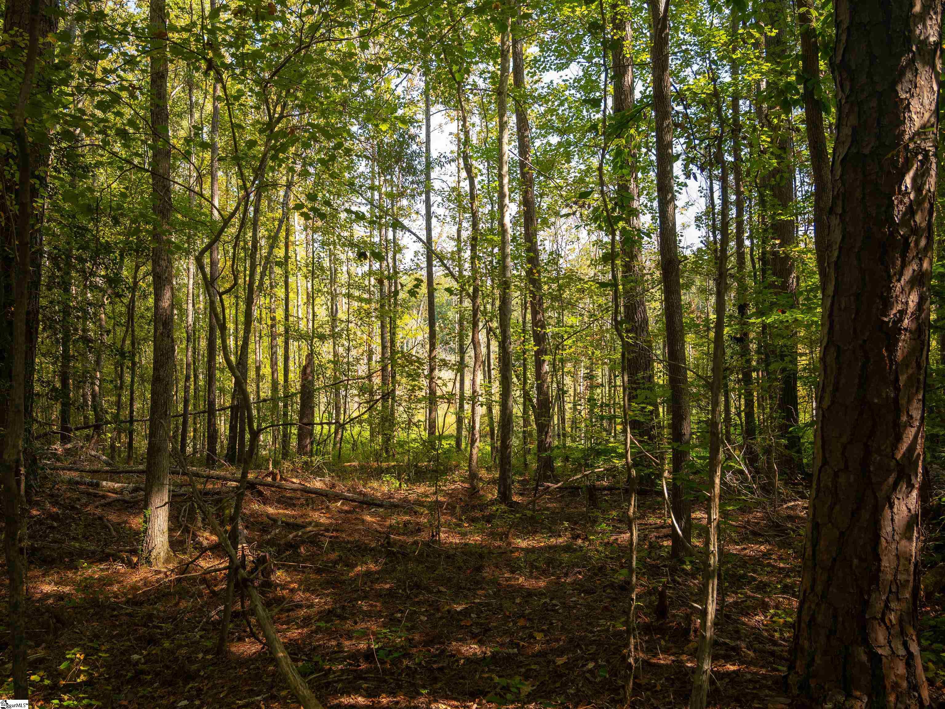 00 Nash Mill Road Fountain Inn, SC 29644